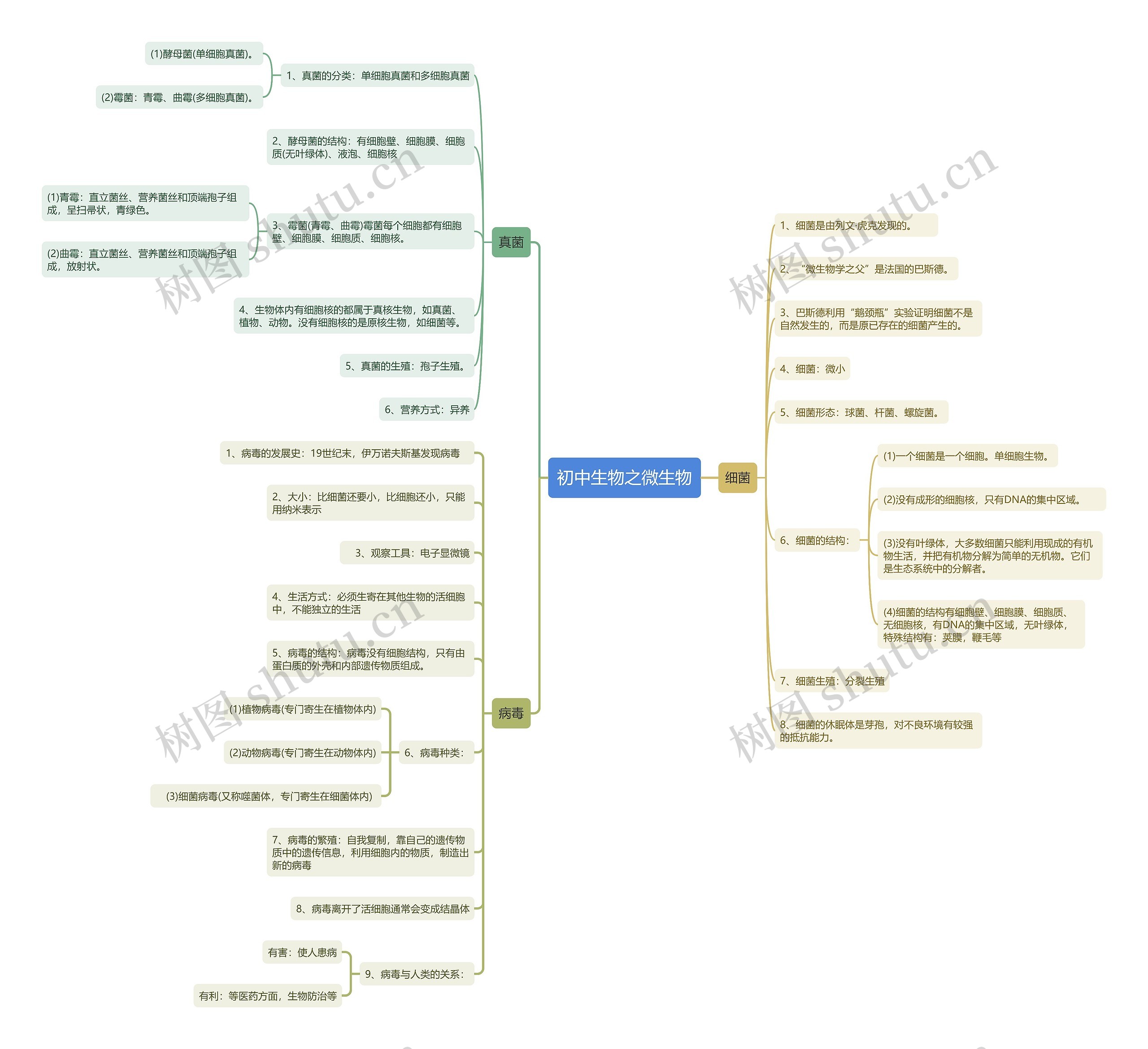 初中生物之微生物思维导图