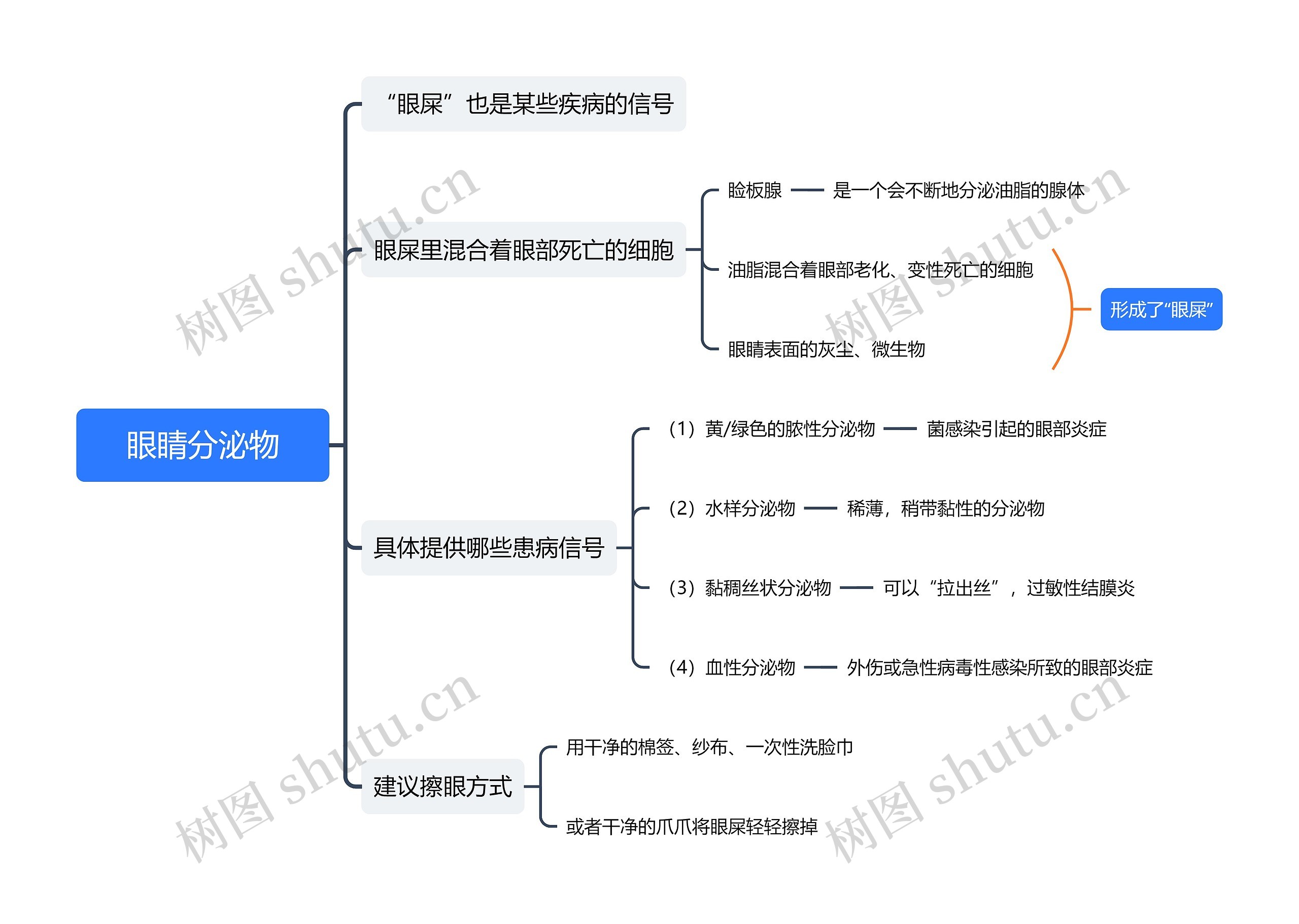 眼睛分泌物思维导图