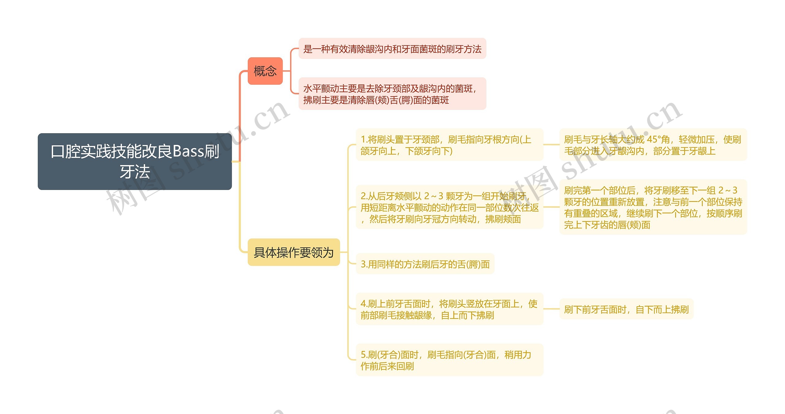 口腔实践技能改良Bass刷牙法思维导图