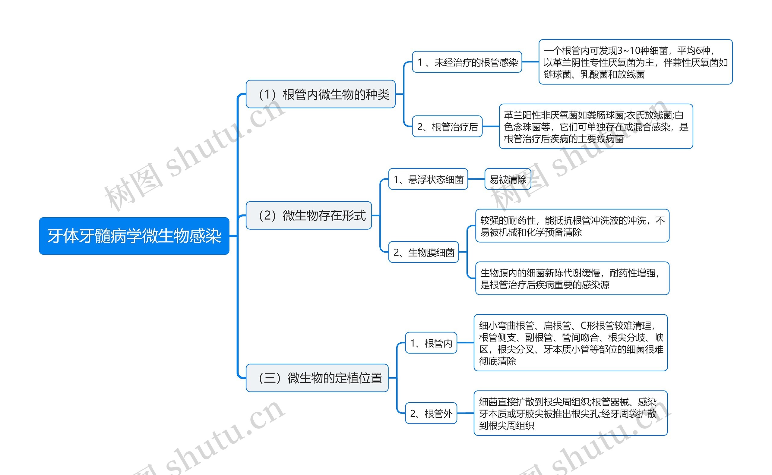 牙体牙髓病学微生物感染思维导图