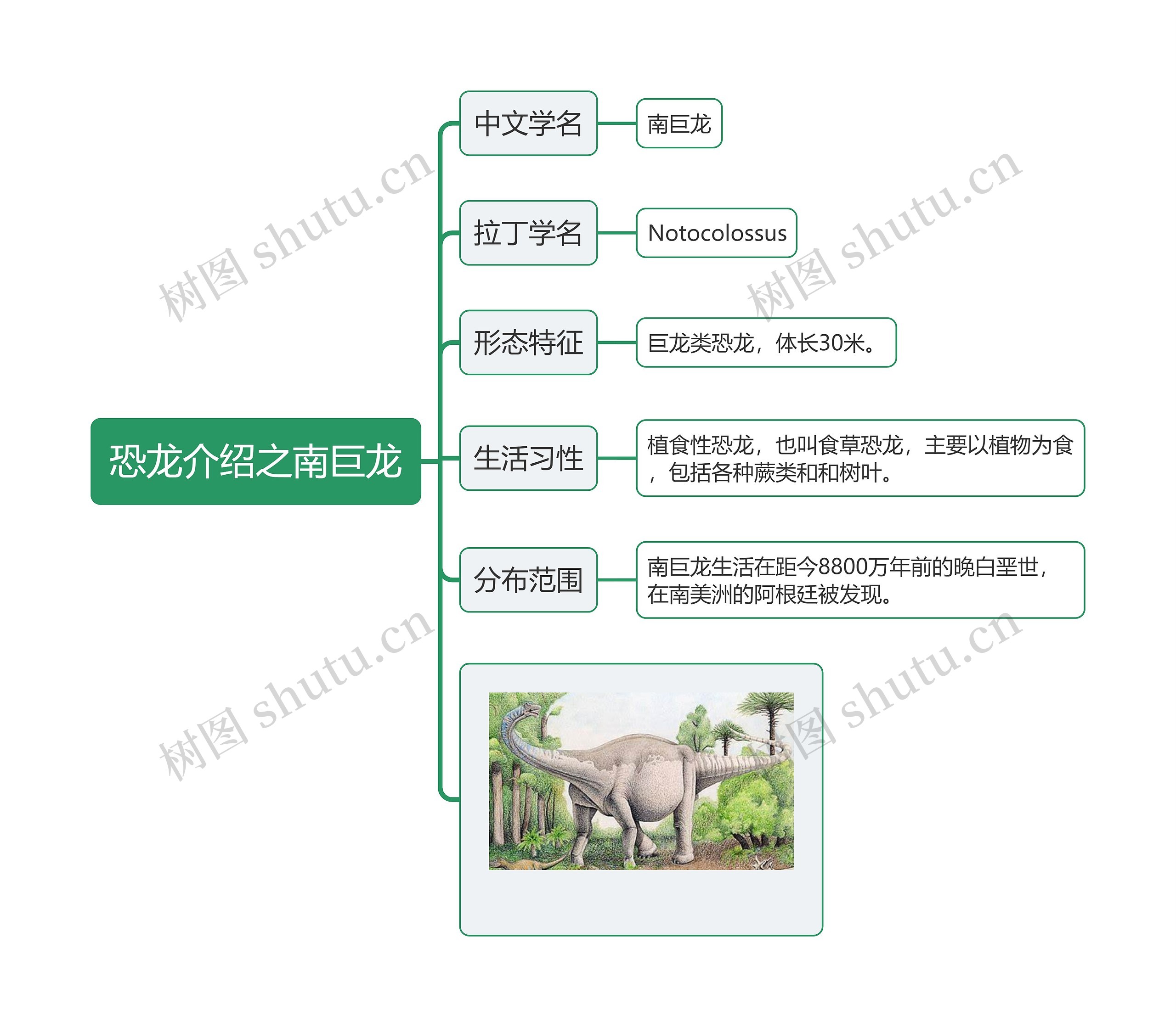 恐龙介绍之南巨龙思维导图