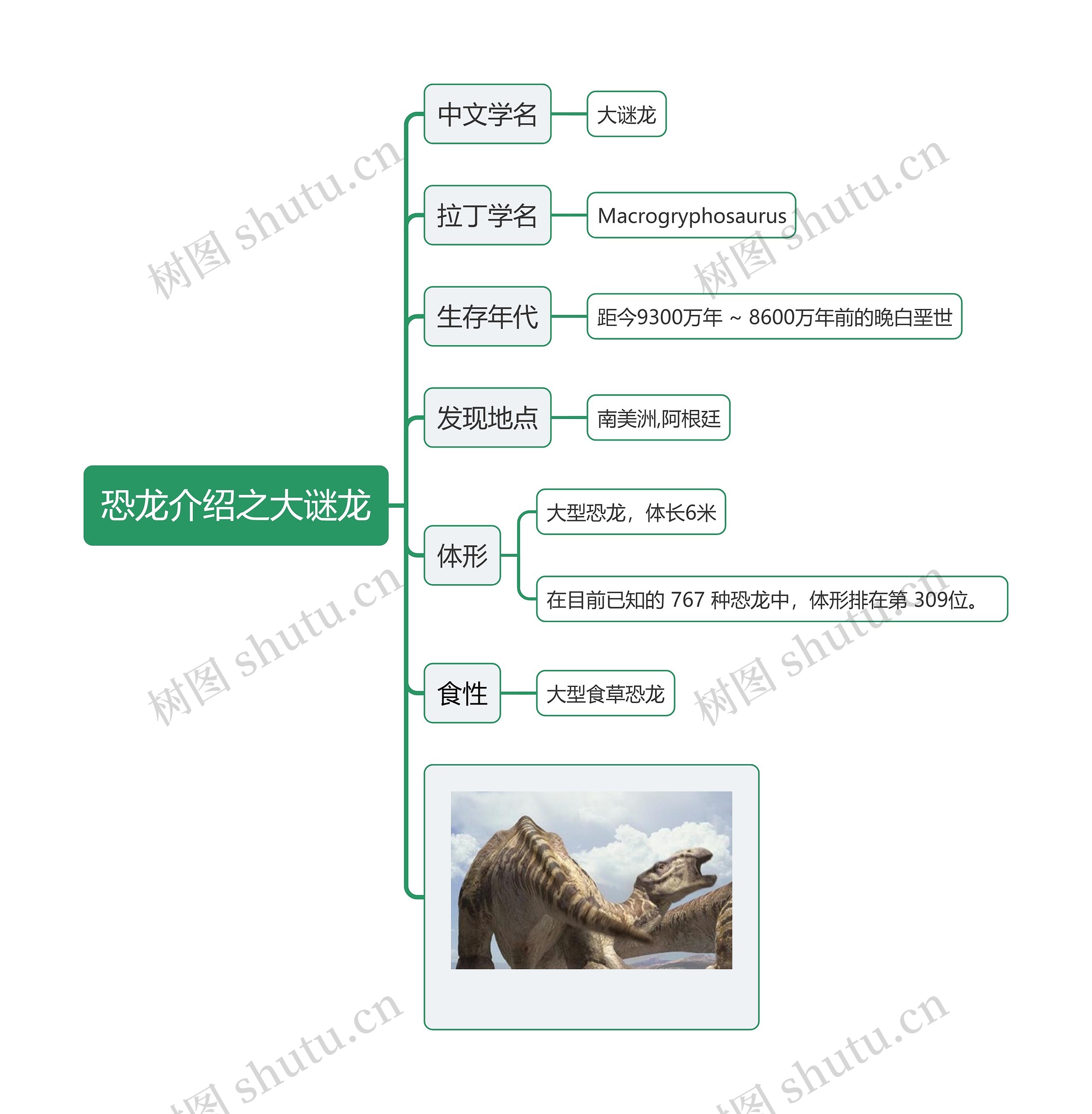 恐龙介绍之大谜龙思维导图