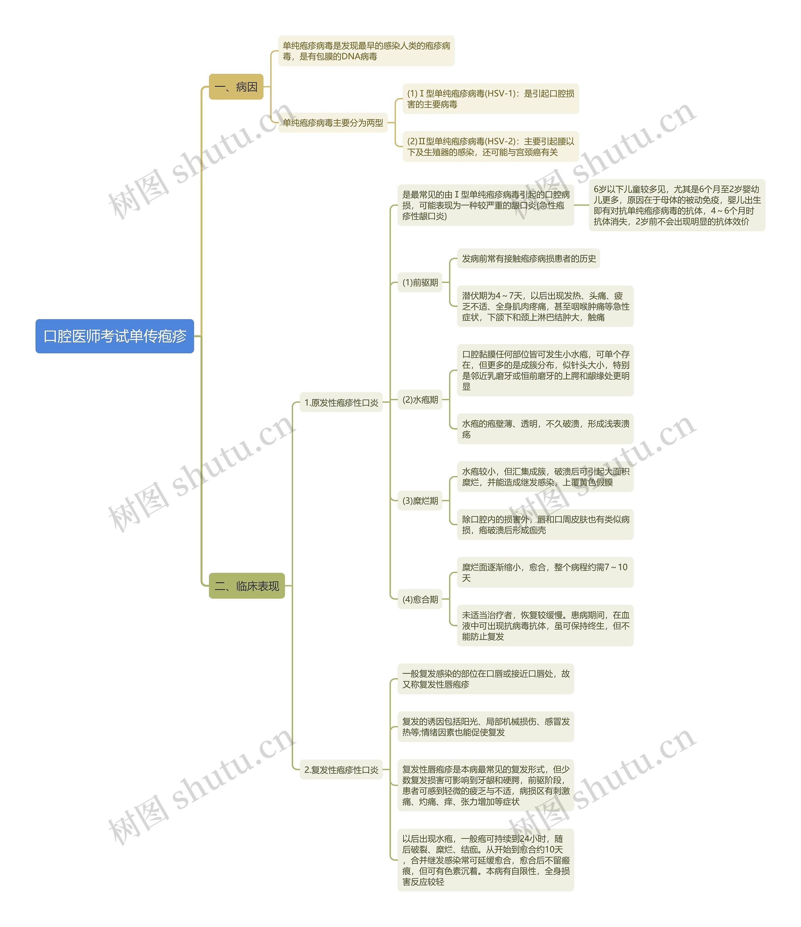 口腔医师考试单传疱疹思维导图