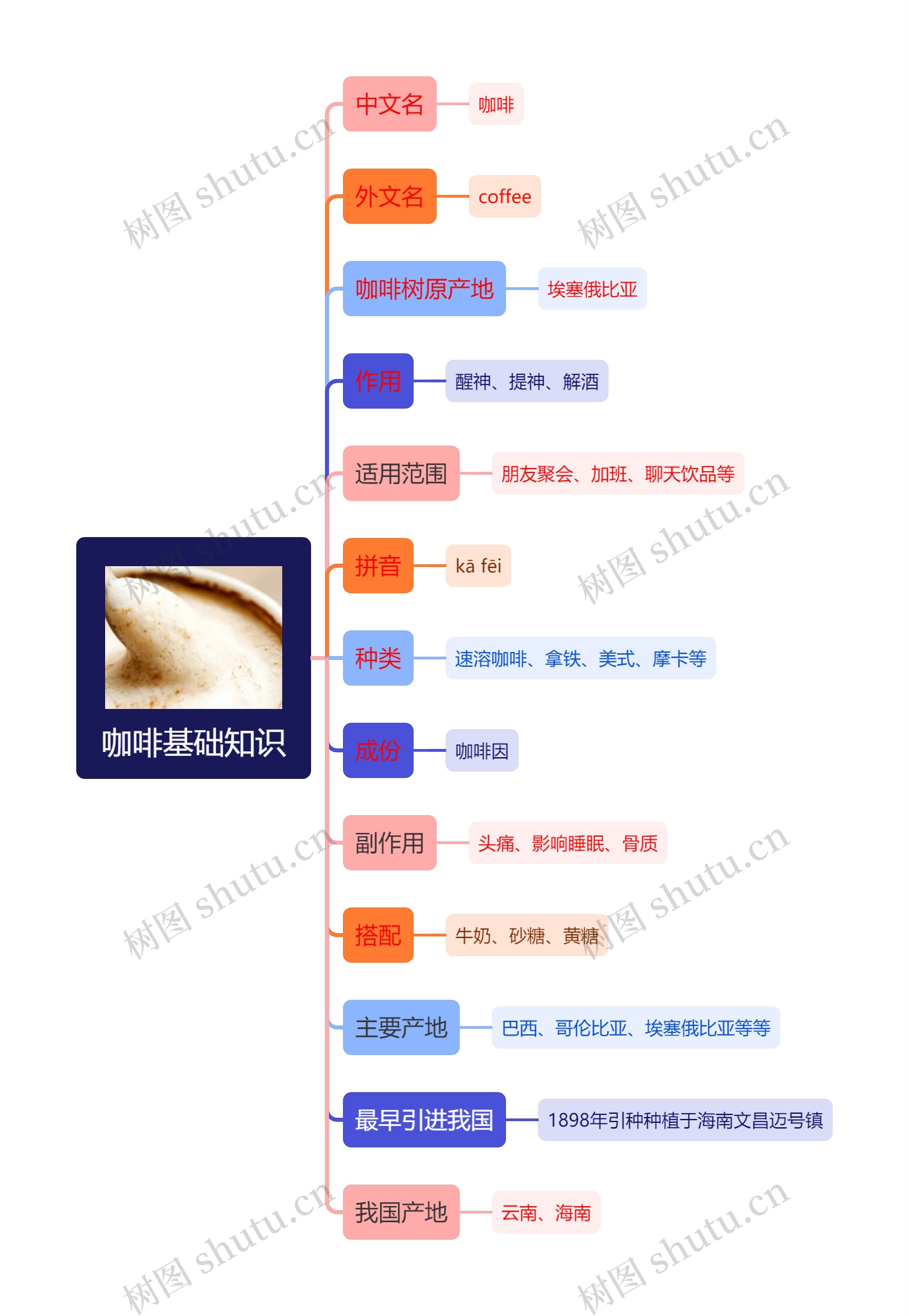 咖啡基础知识思维导图