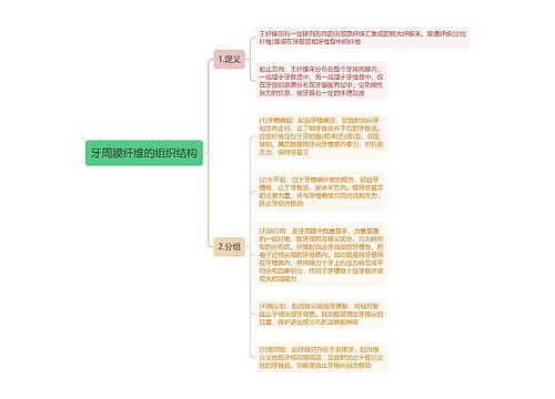 牙周膜纤维的组织结构