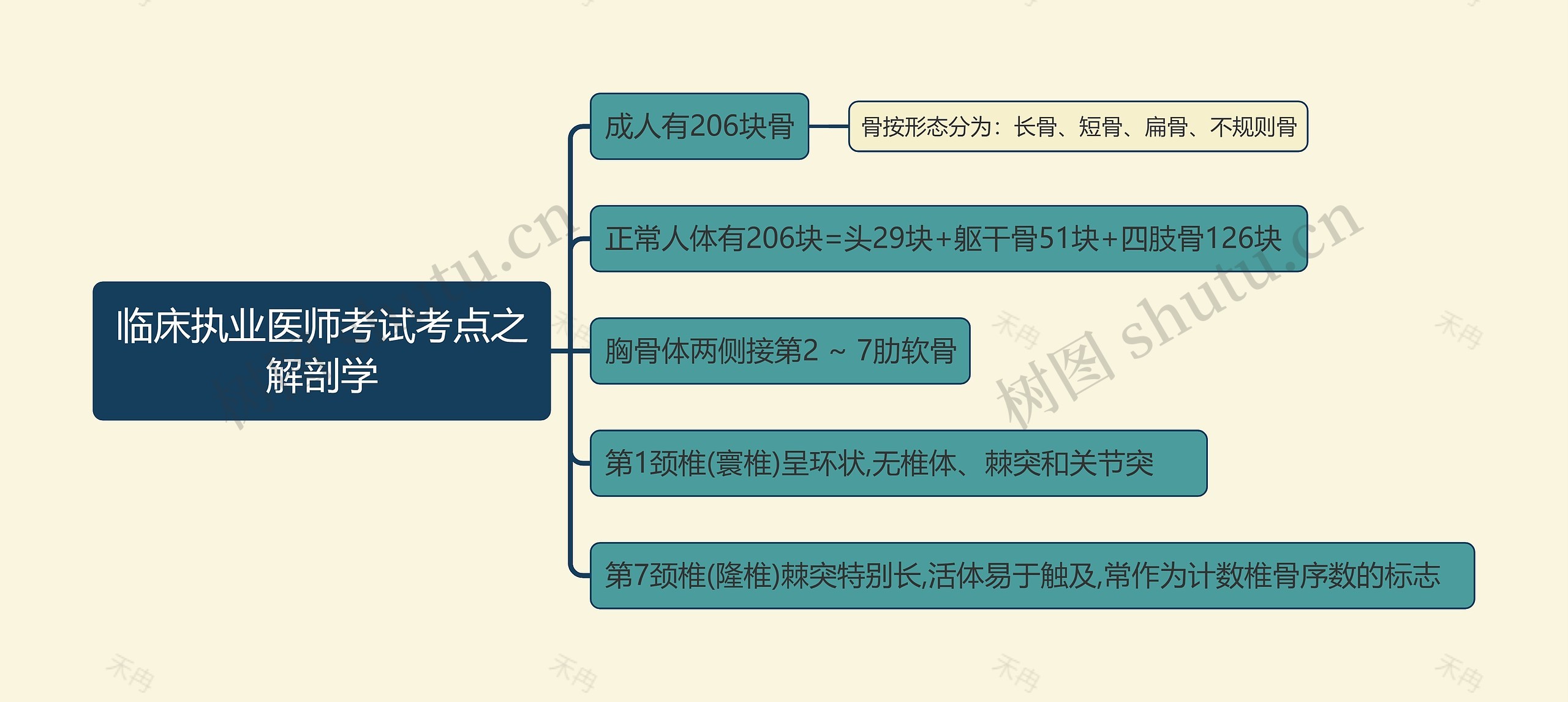 临床执业医师考试考点之解剖学思维导图