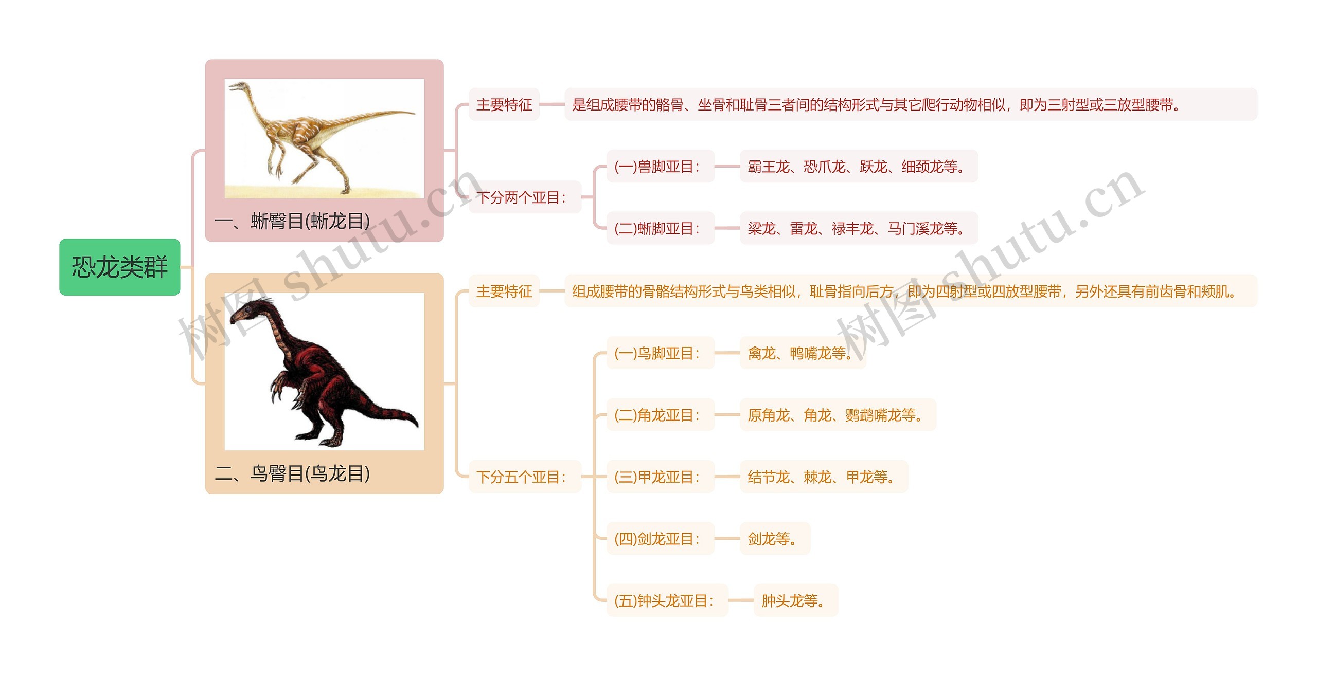 恐龙类群思维导图