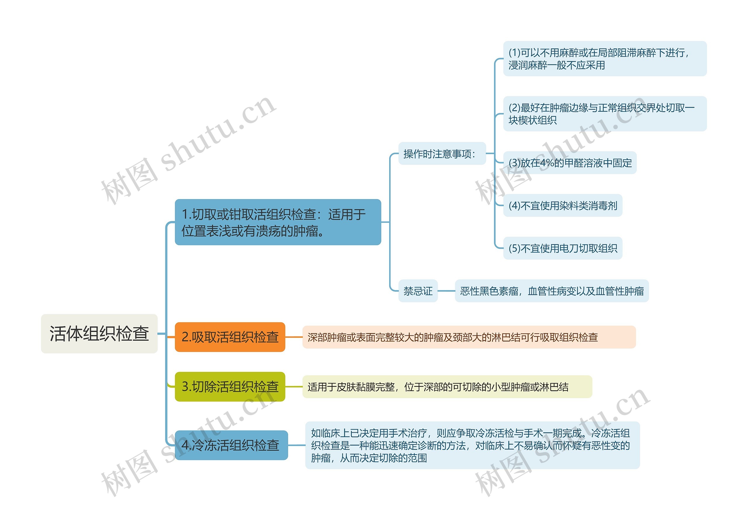 活体组织检查