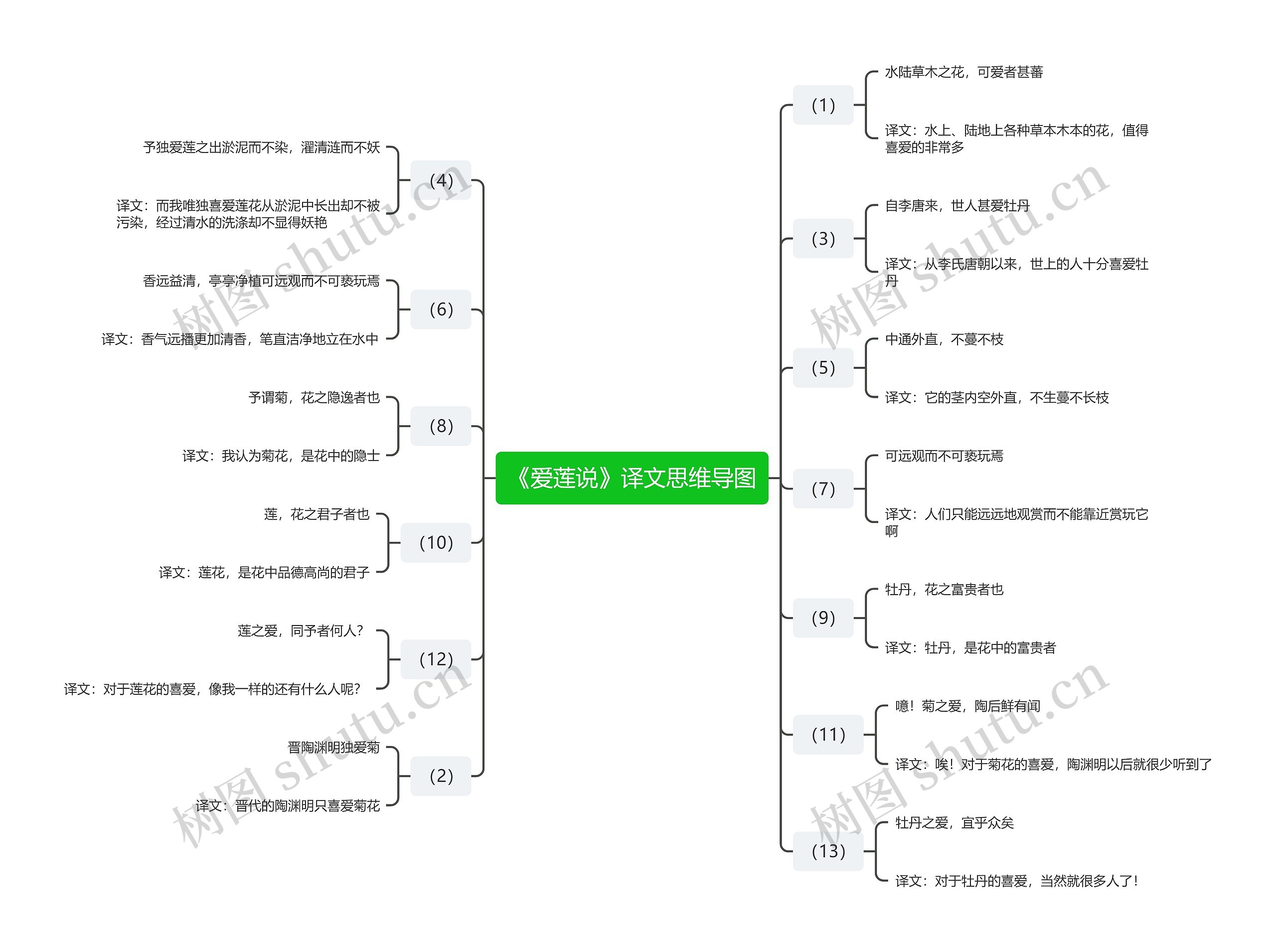 《爱莲说》译文思维导图