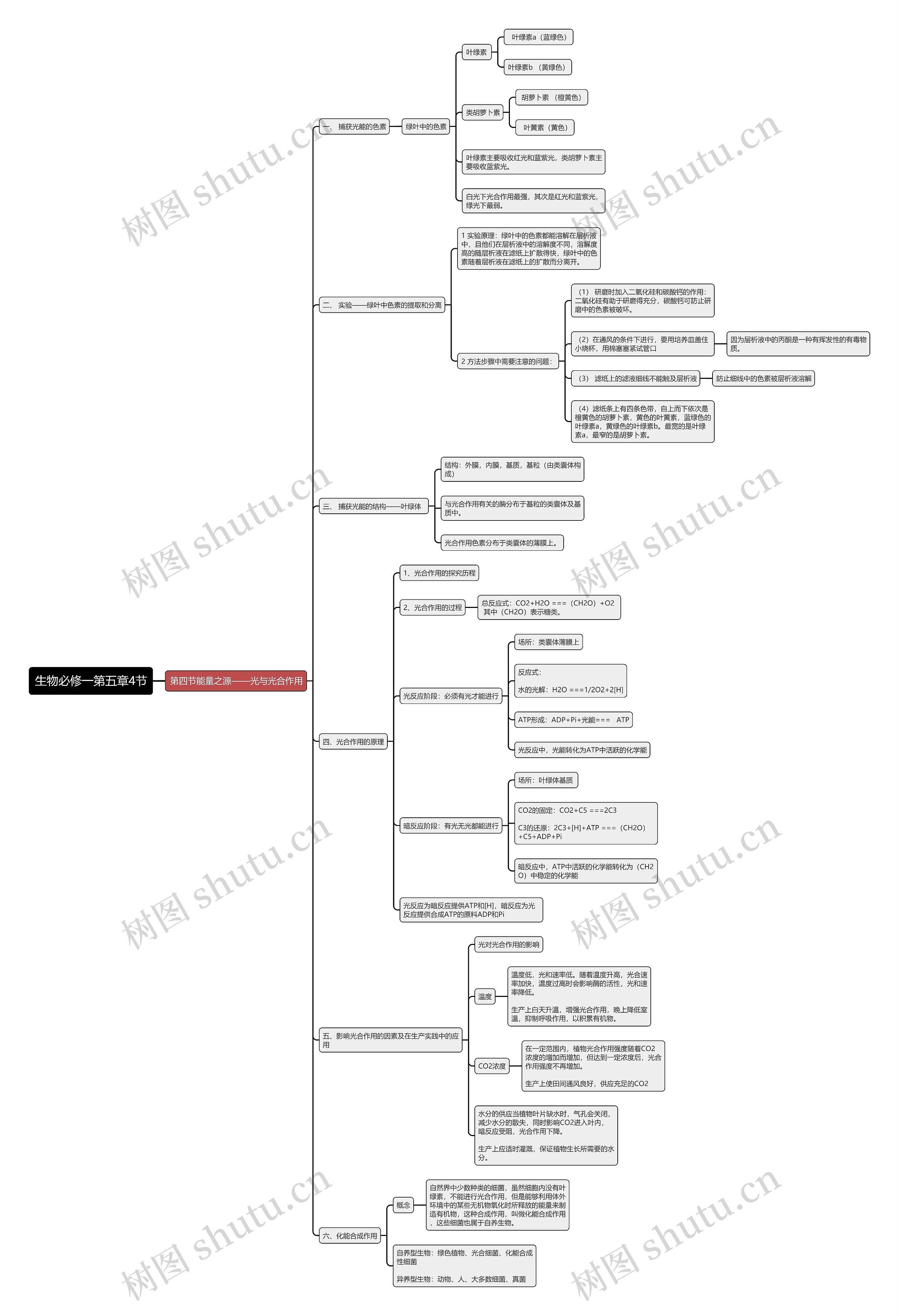 生物必修一第五章4节思维导图高清图 生物必修一第五章4节思维导图