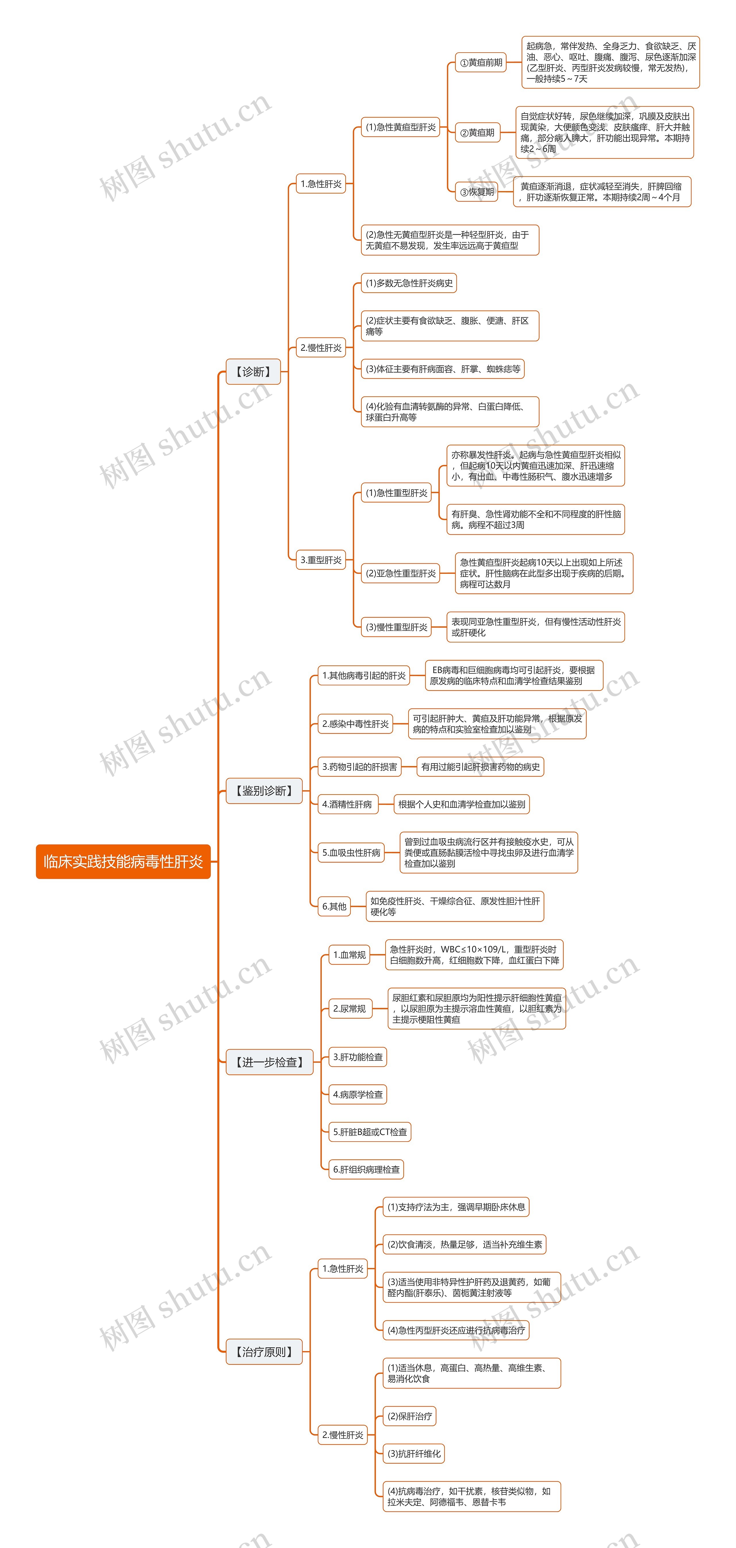 临床实践技能病毒性肝炎思维导图