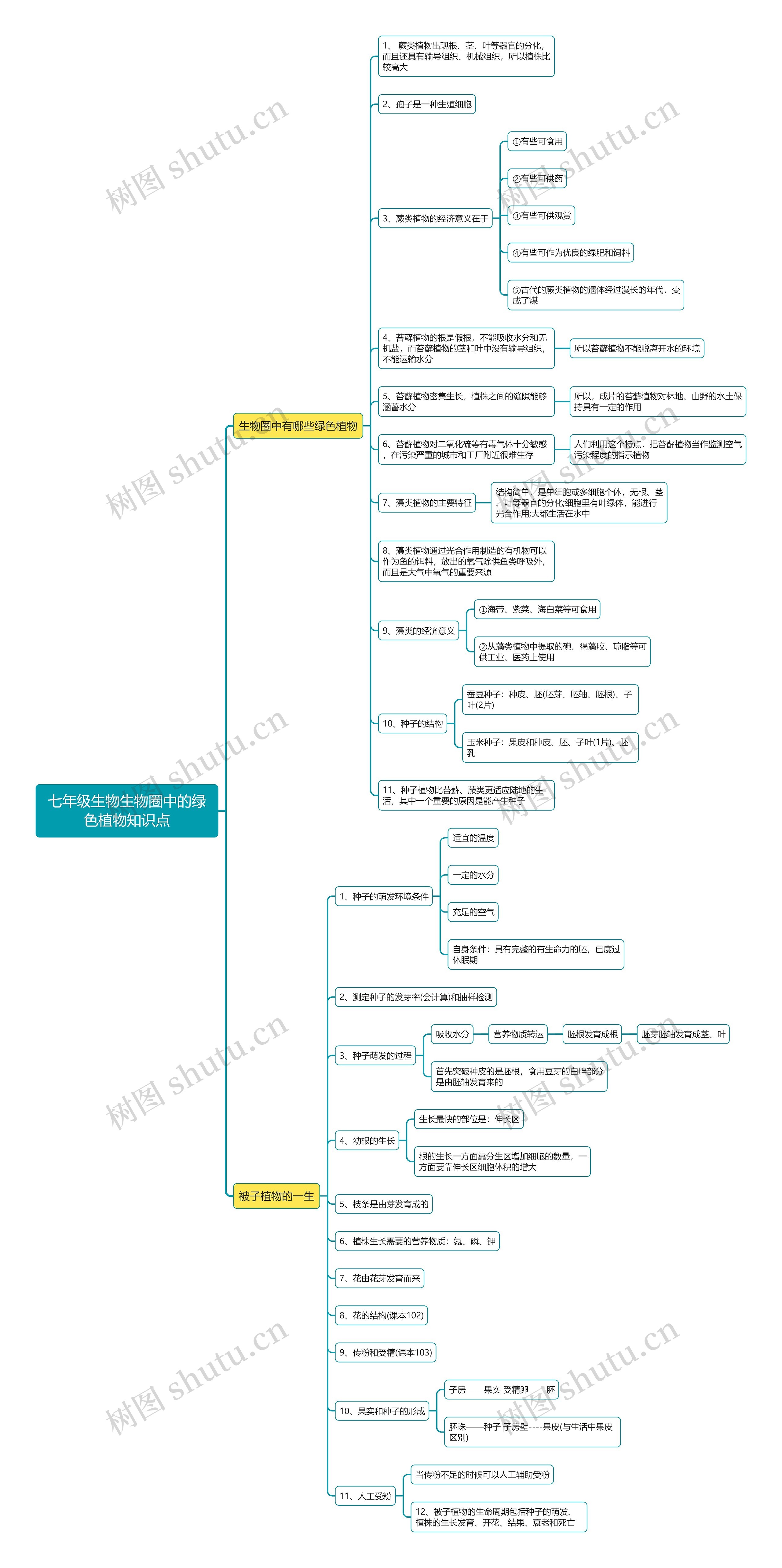 七年级生物生物圈中的绿色植物思维导图