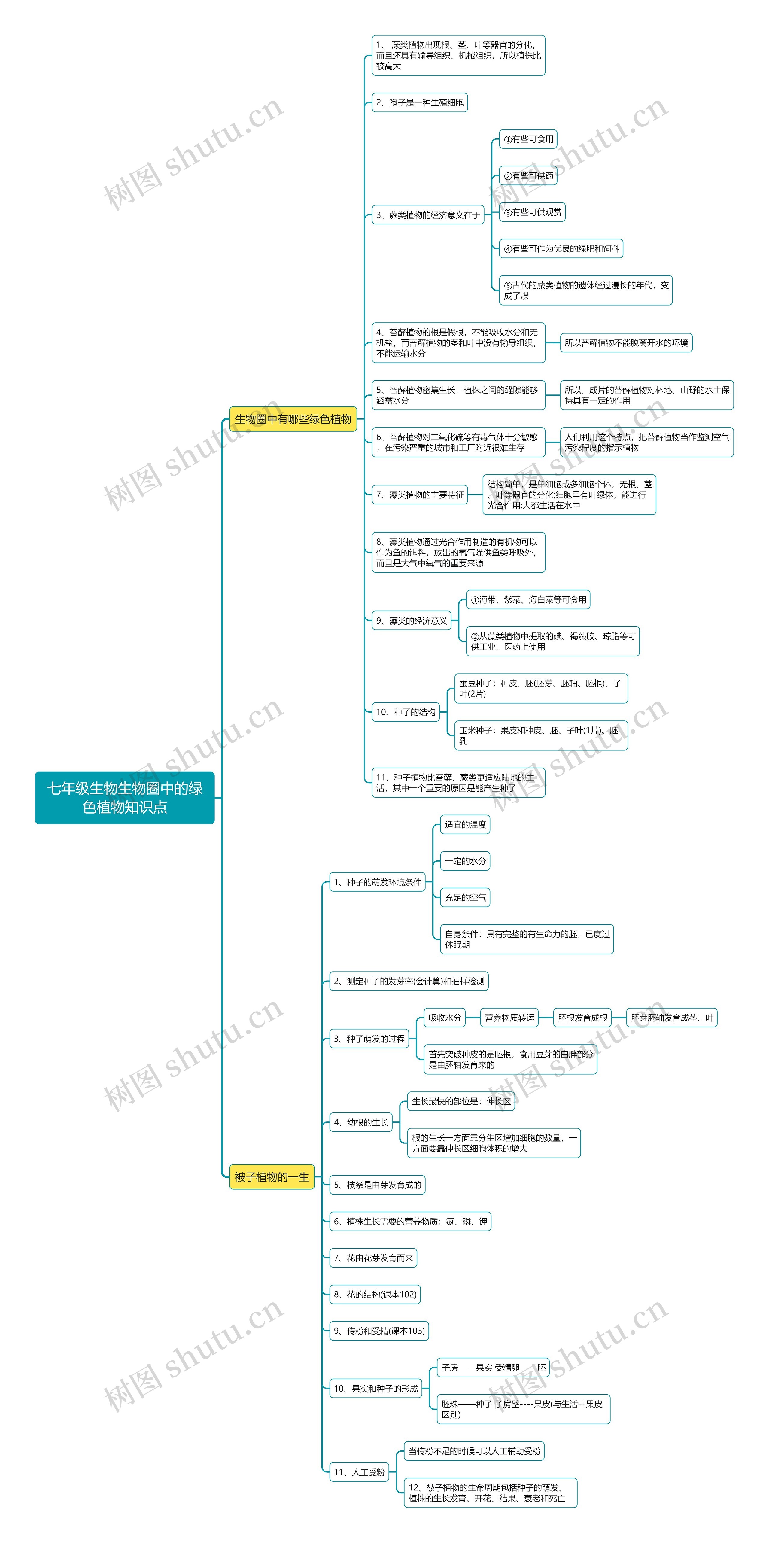 七年级生物生物圈中的绿色植物思维导图 七年级生物生物圈中的绿色植物思维导图