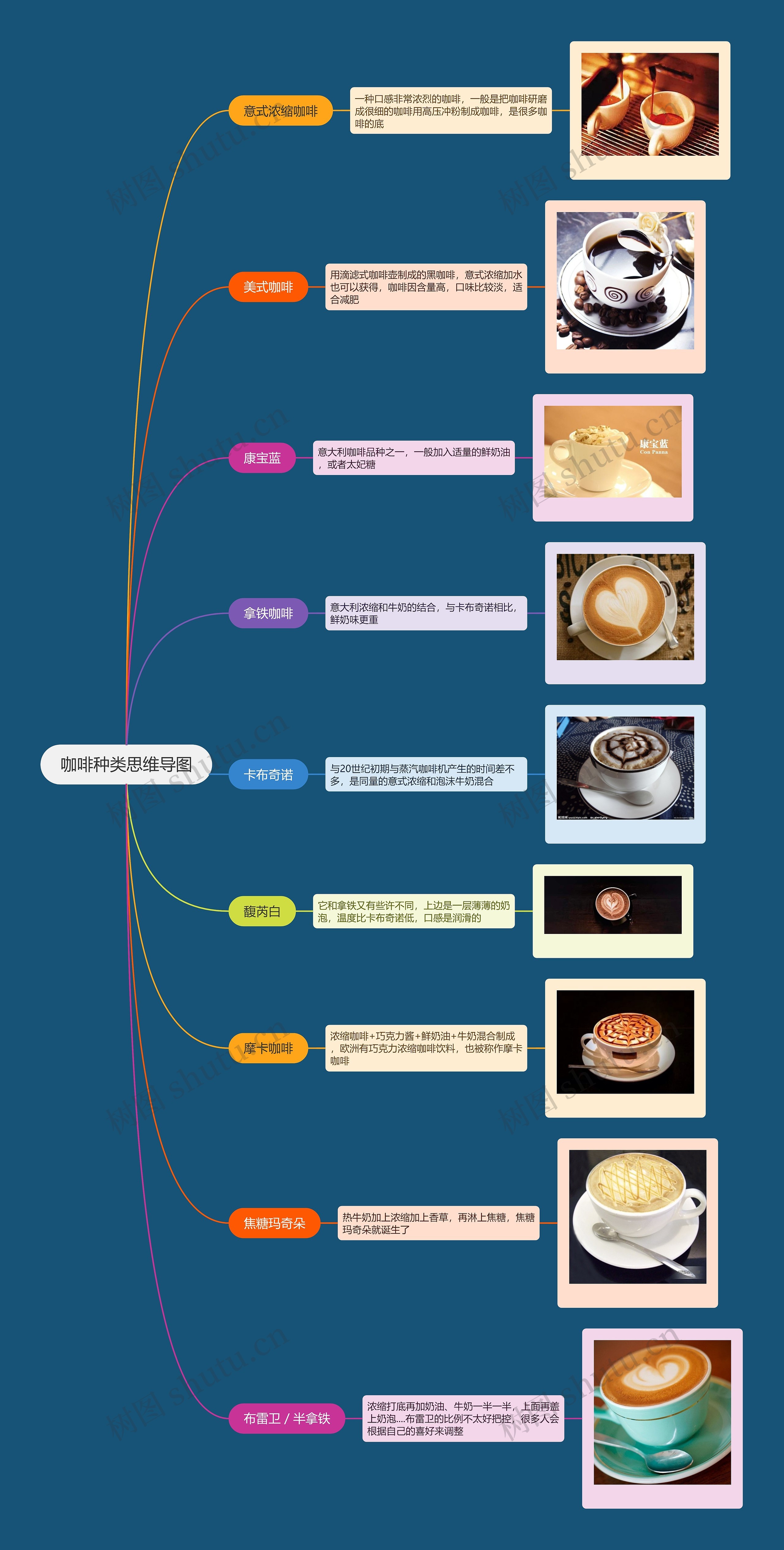 咖啡种类思维导图