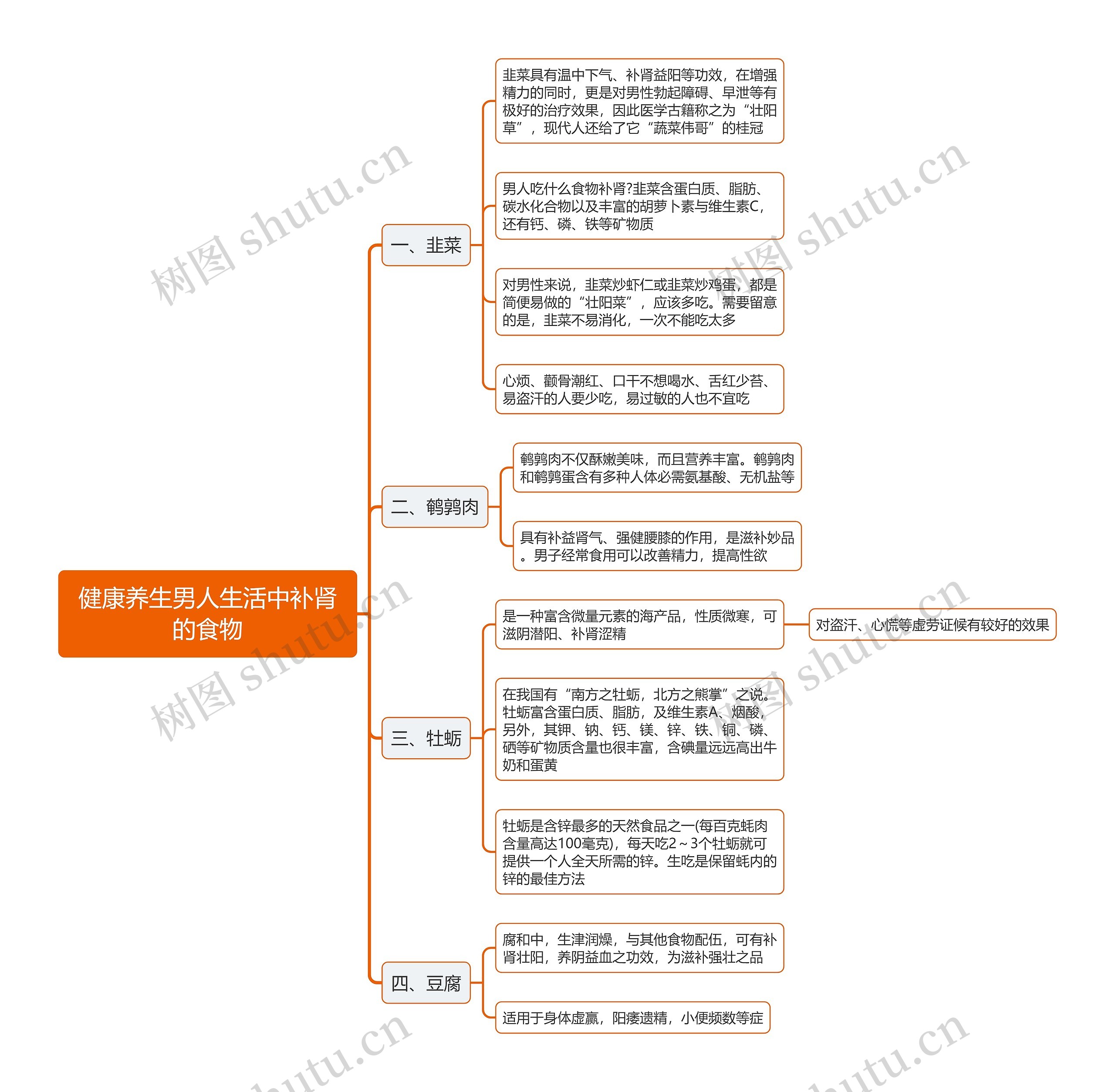 健康养生男人生活中补肾的食物思维导图