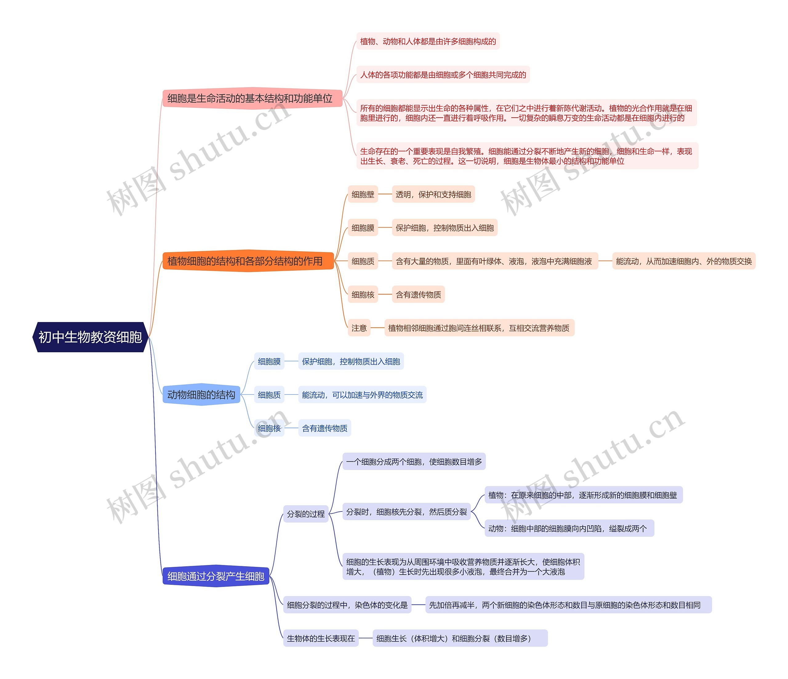 初中生物教资细胞思维导图