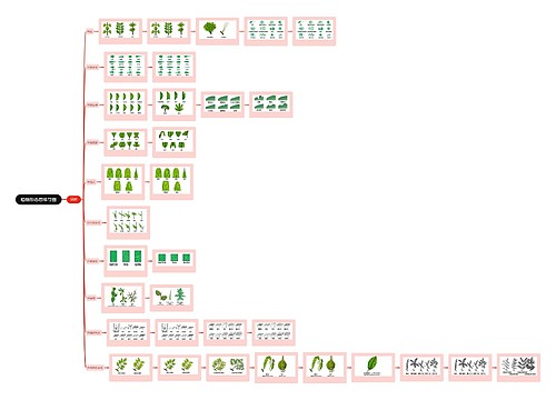 植物形态思维导图