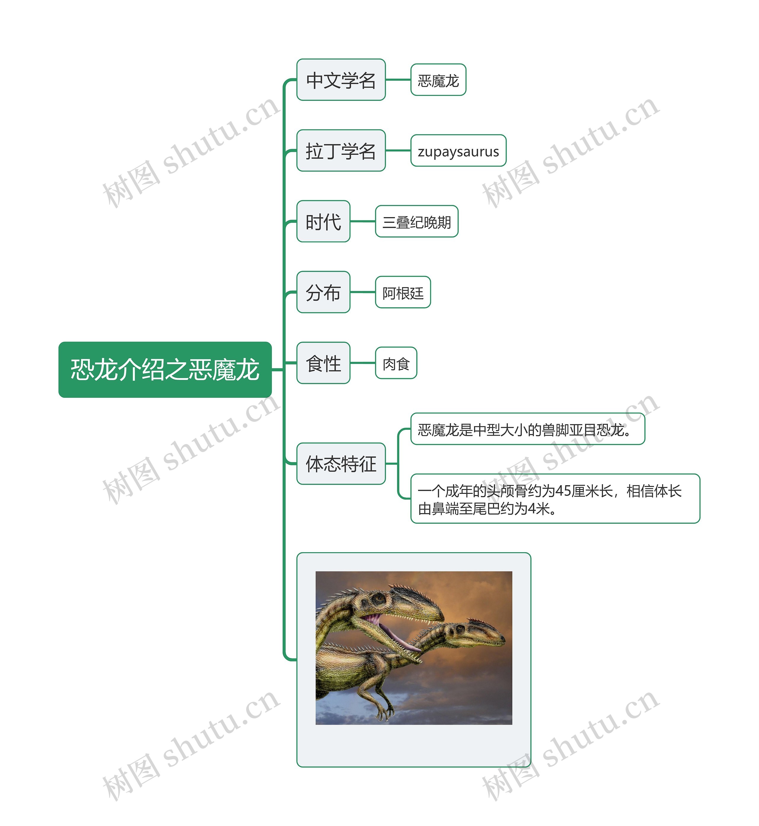 恐龙介绍之恶魔龙思维导图