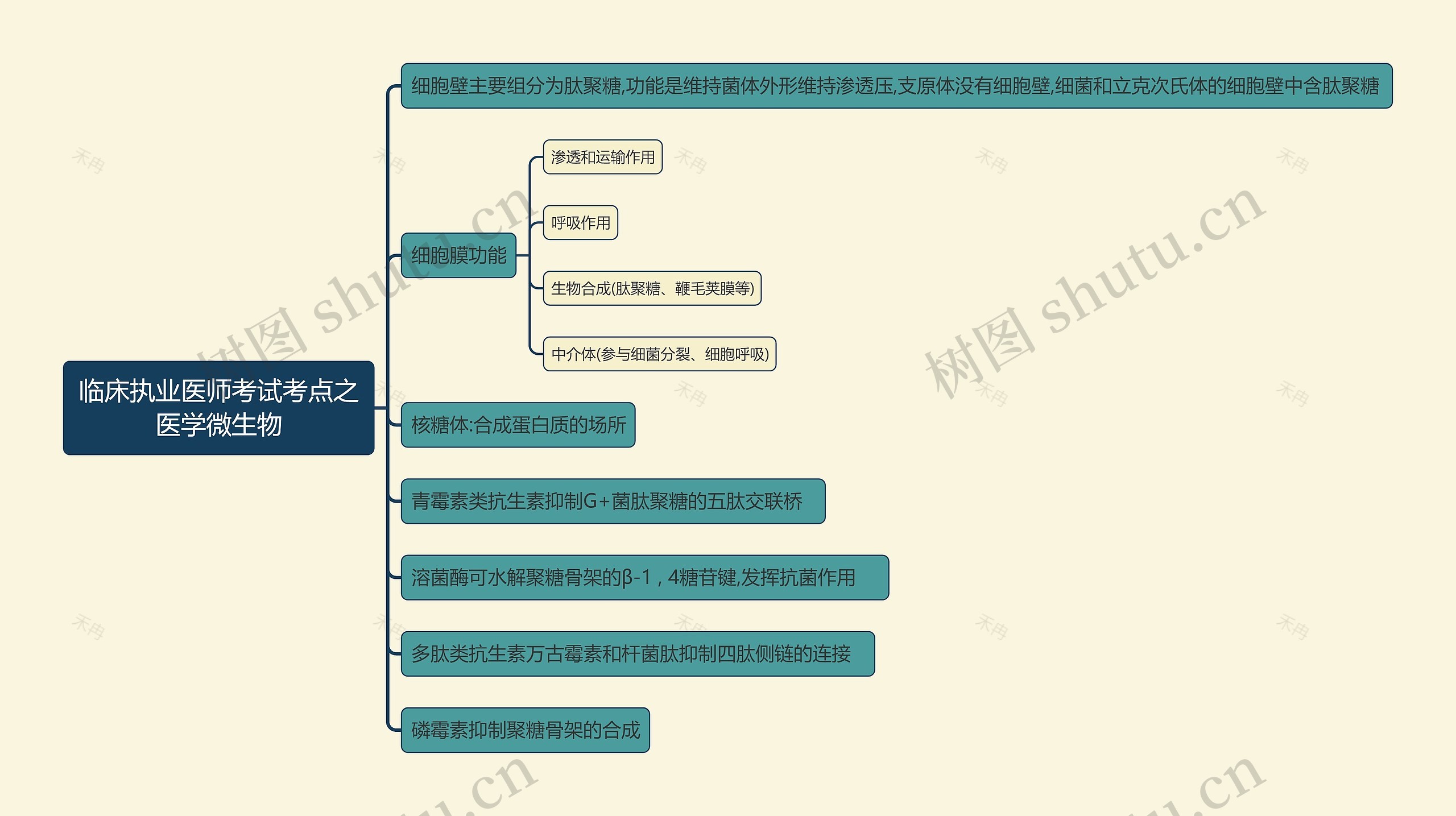 临床执业医师考试考点之医学微生物思维导图