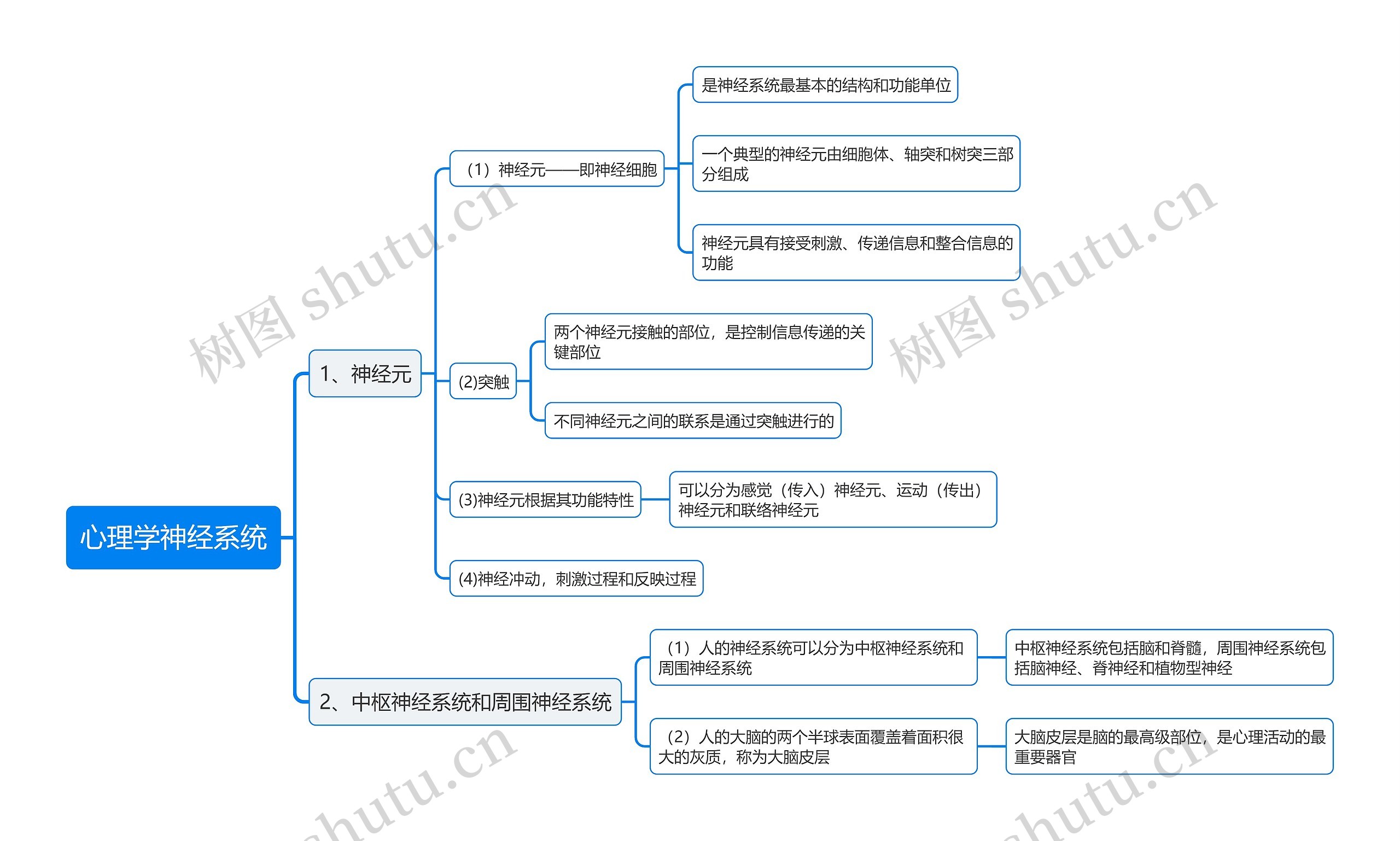 心理学神经系统思维导图