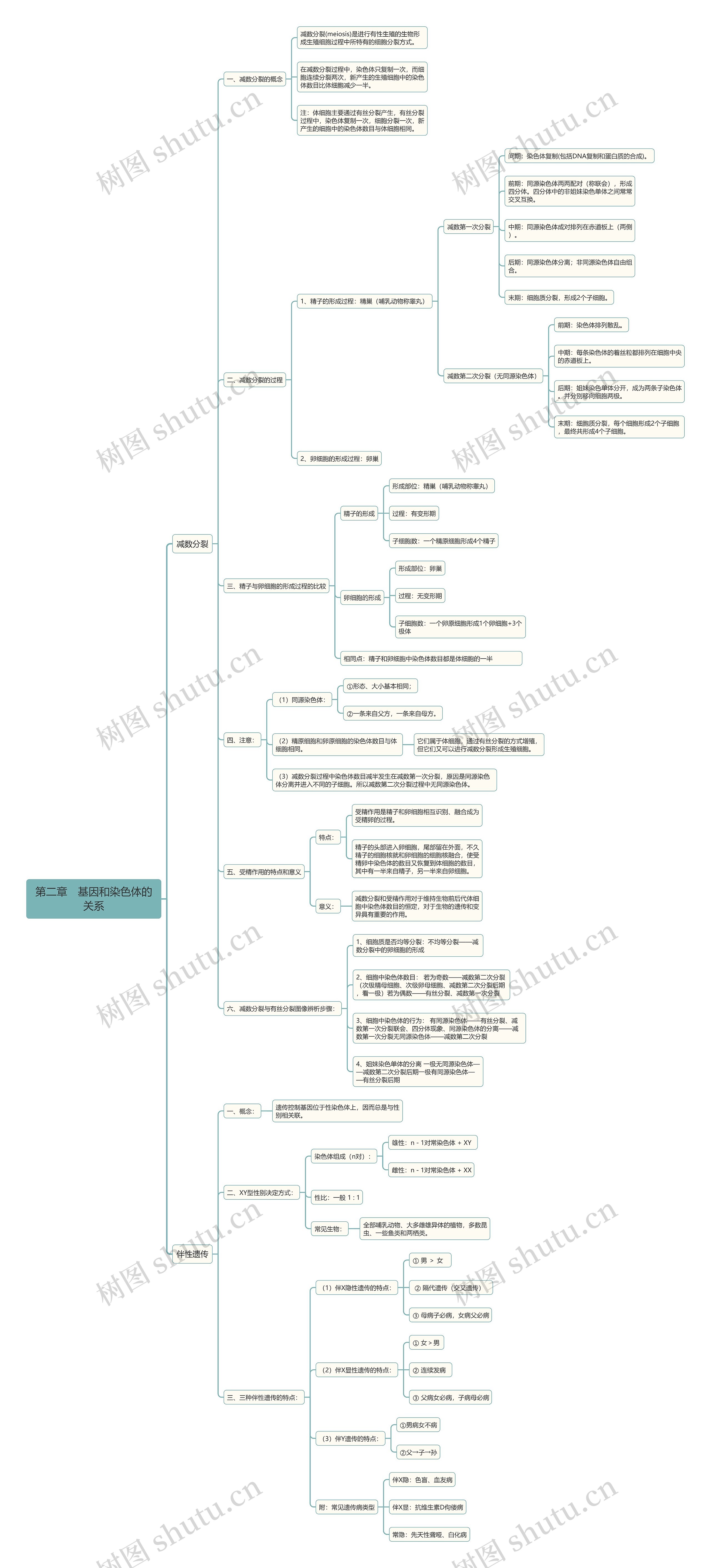 生物必修二基因和染色体的关系思维导图