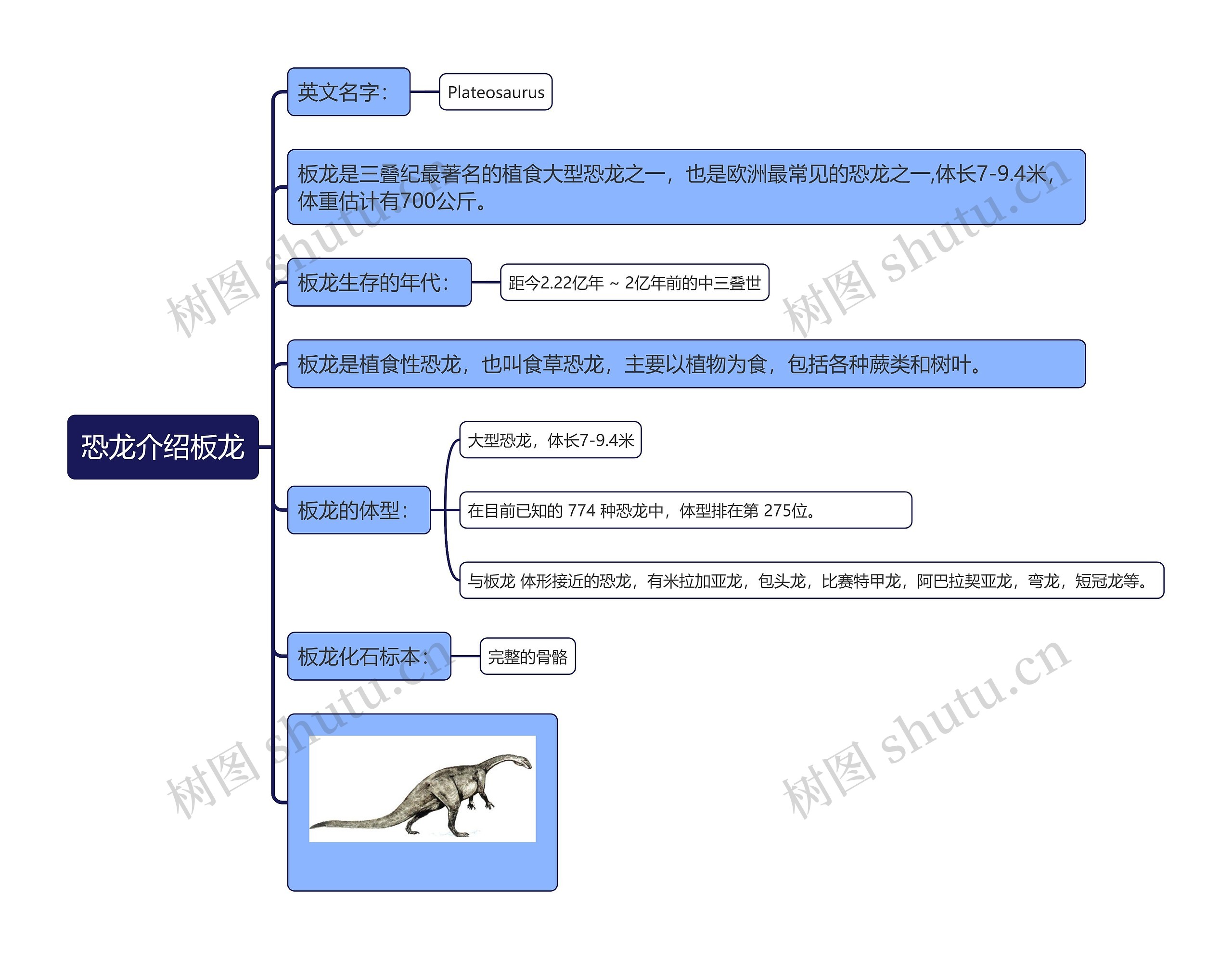 恐龙介绍板龙