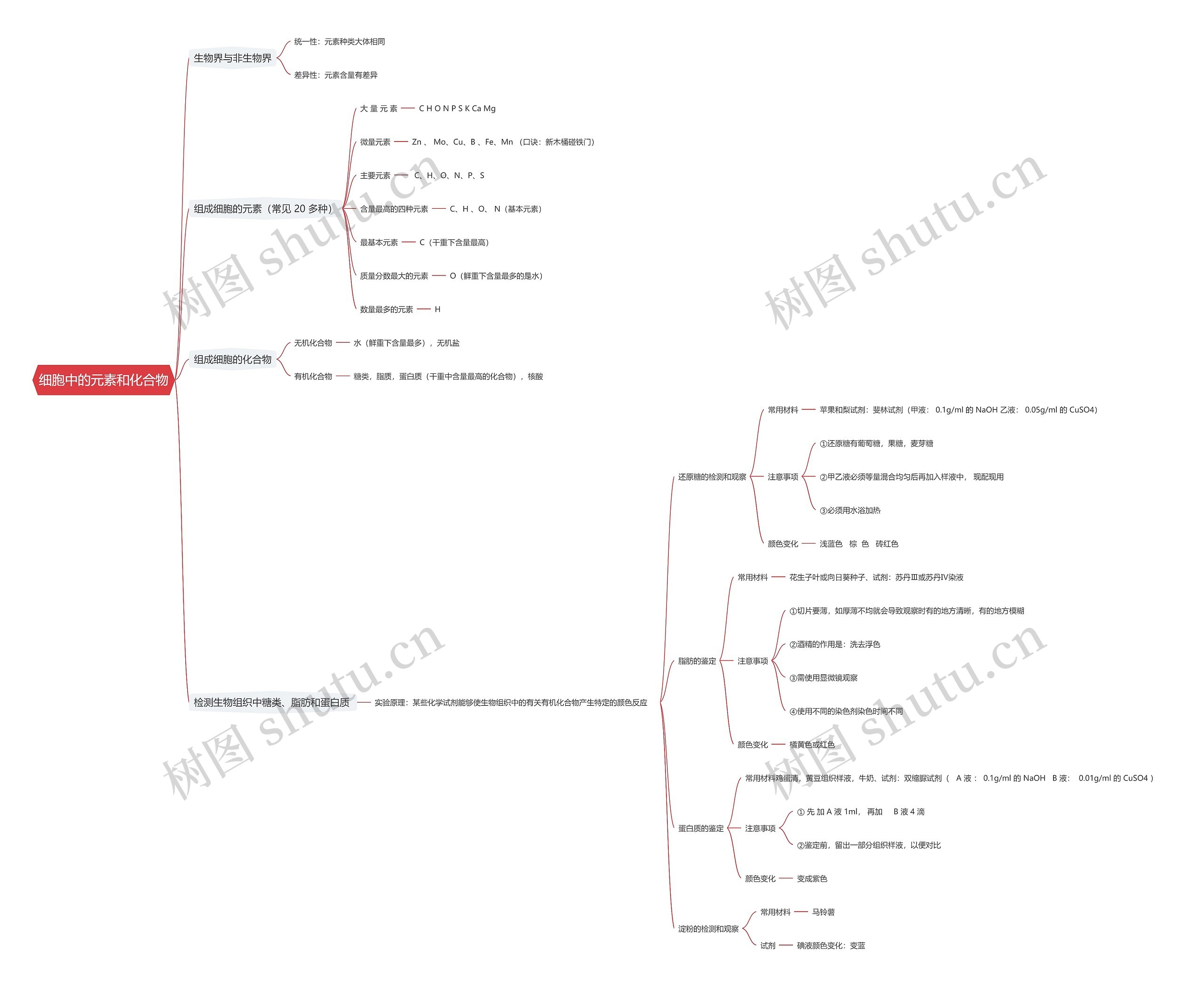 细胞中的元素和化合物思维导图