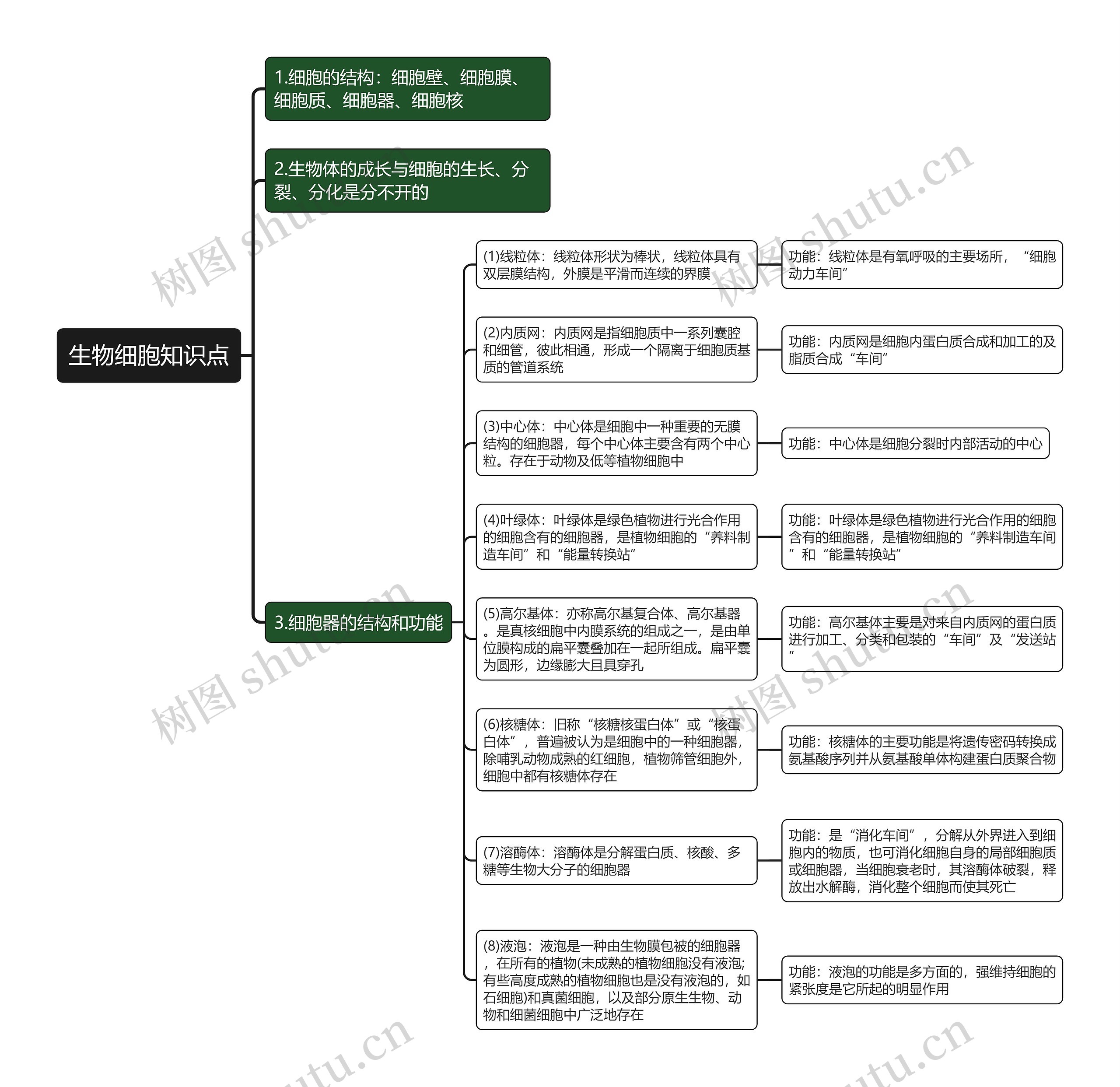 生物细胞知识点思维导图