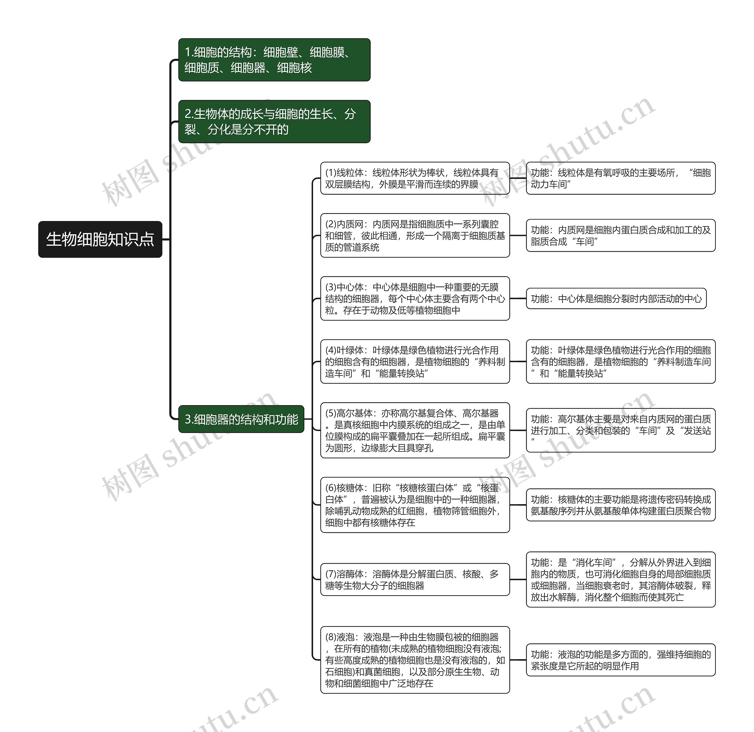生物细胞知识点思维导图高清图 生物细胞知识点思维导图