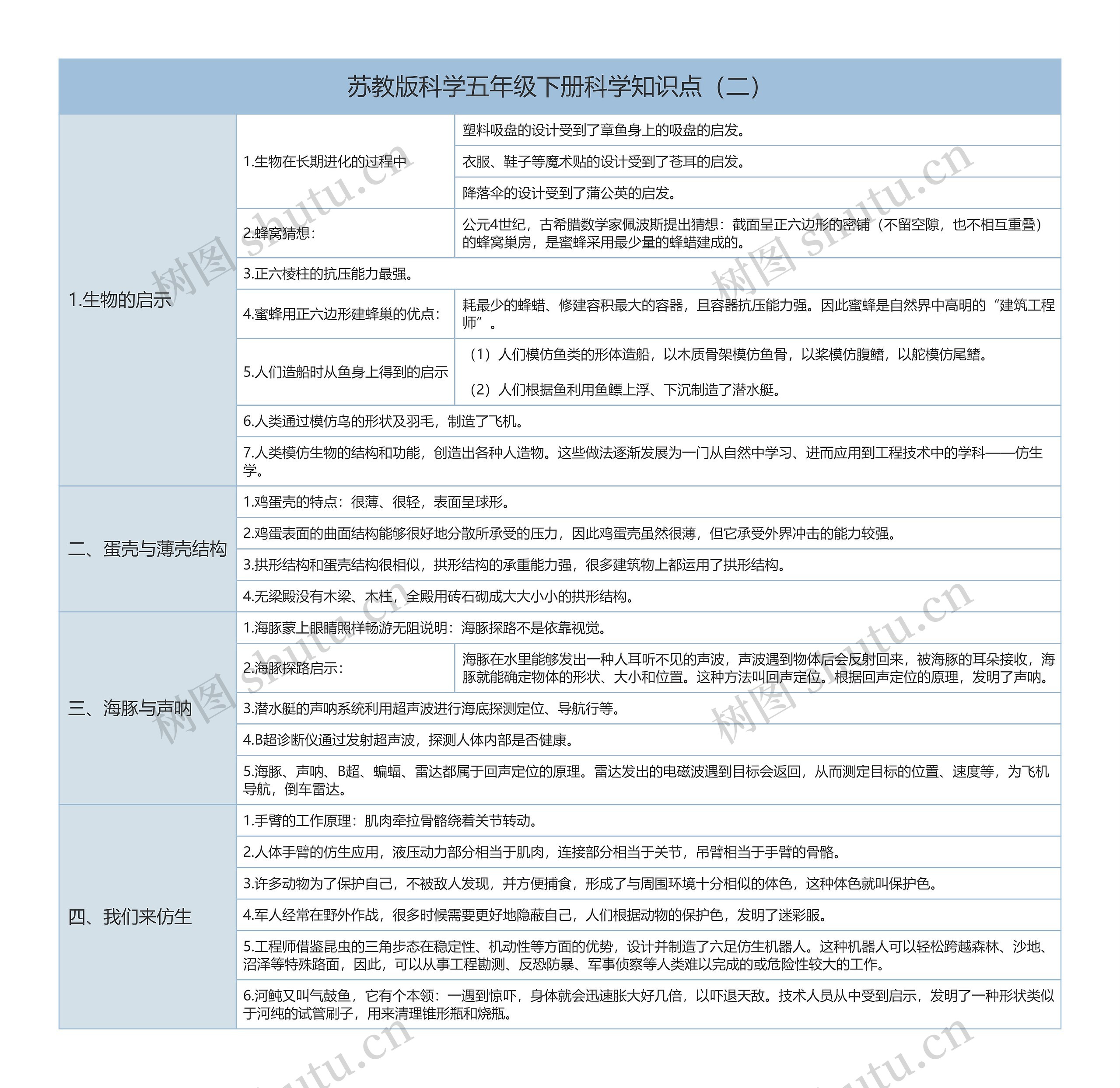 苏教版科学五年级下册科学知识点（二）树形表格