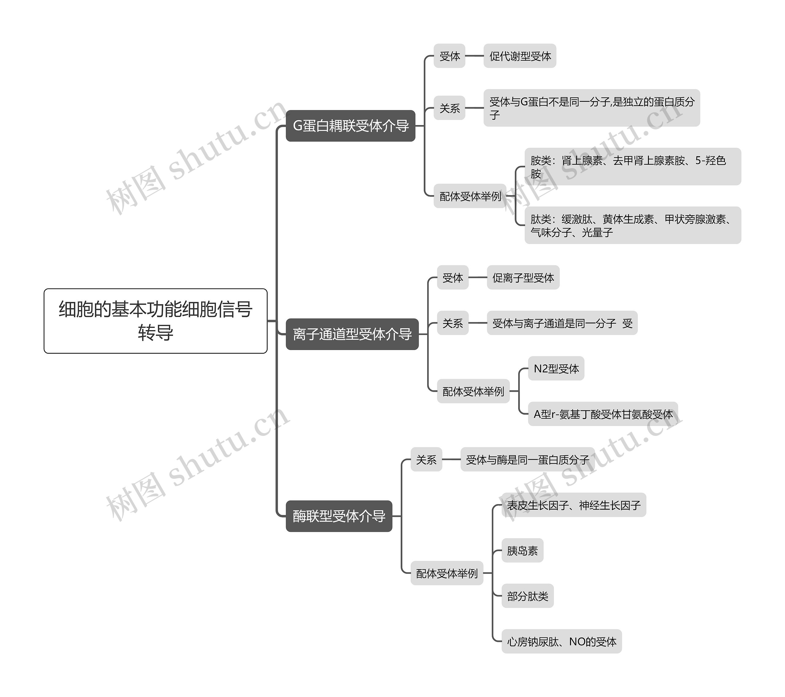 细胞的基本功能细胞信号转导思维导图