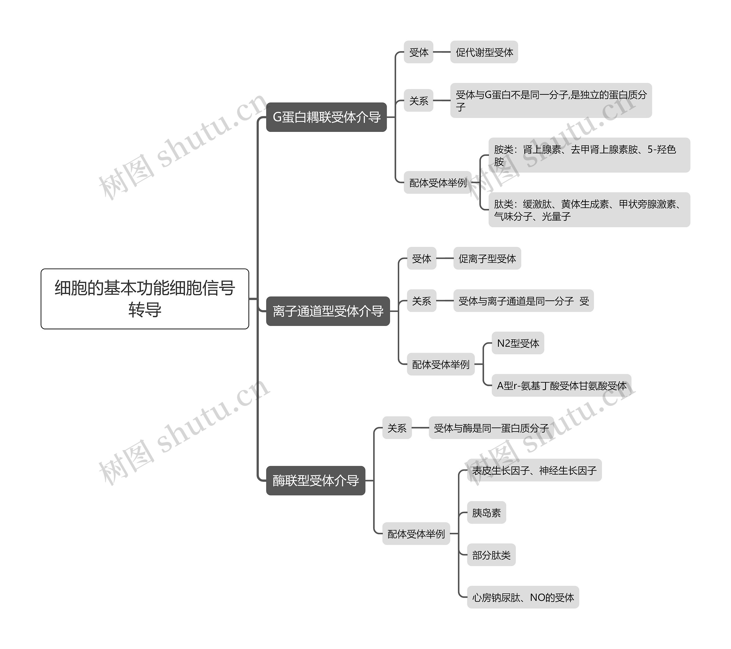 细胞的基本功能细胞信号转导思维导图 细胞的基本功能细胞信号转导思维导图