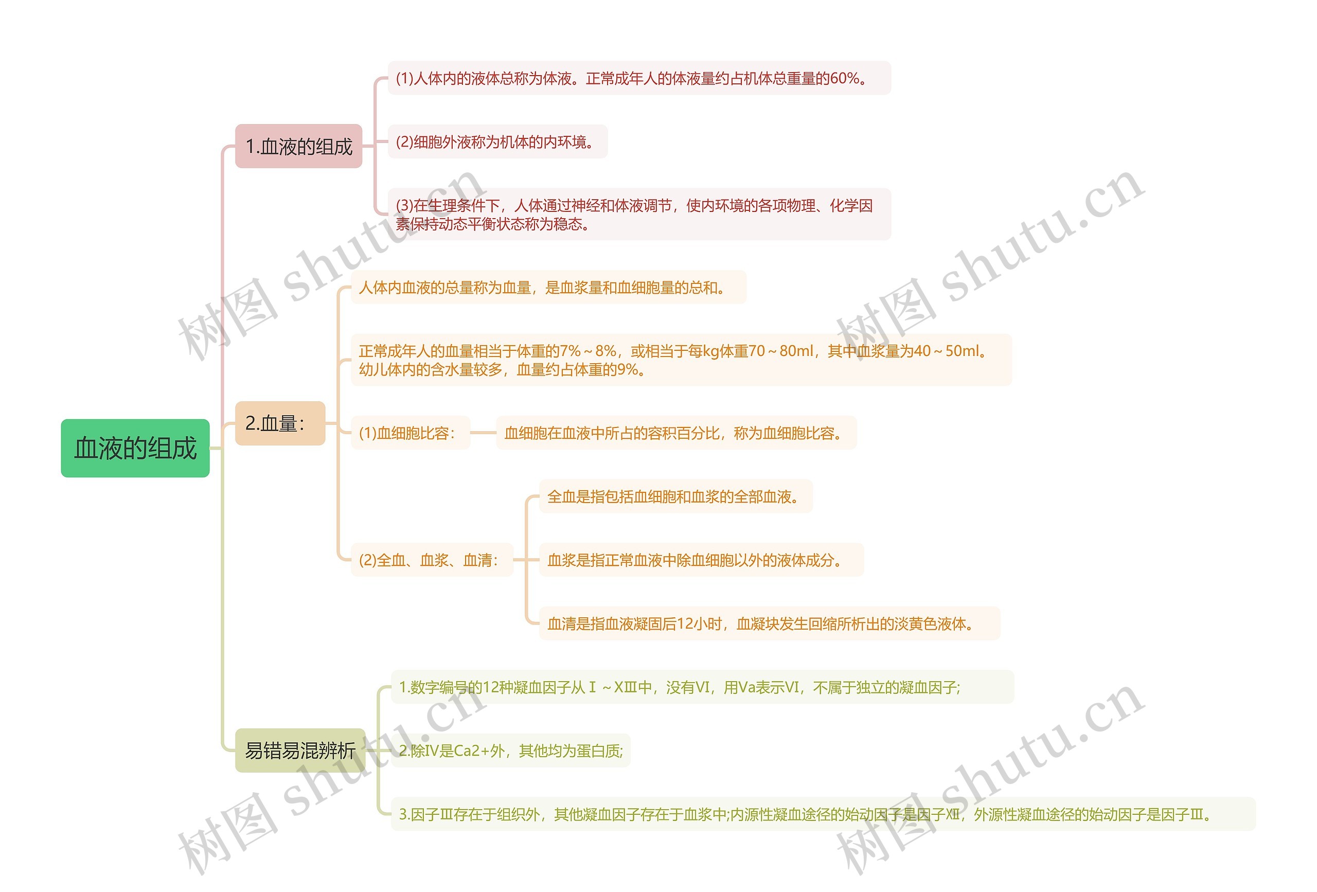 血液的组成思维导图