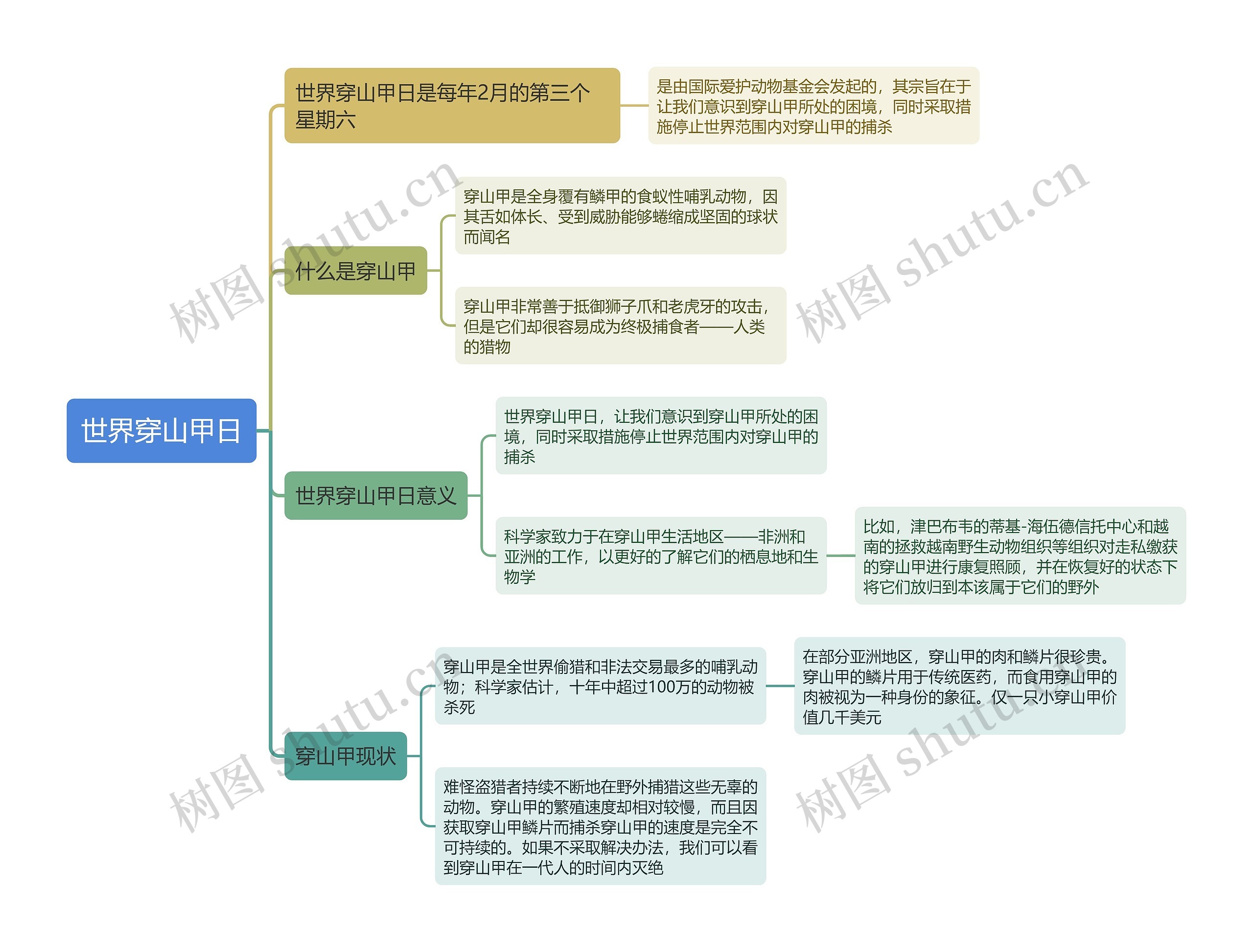 世界穿山甲日思维导图