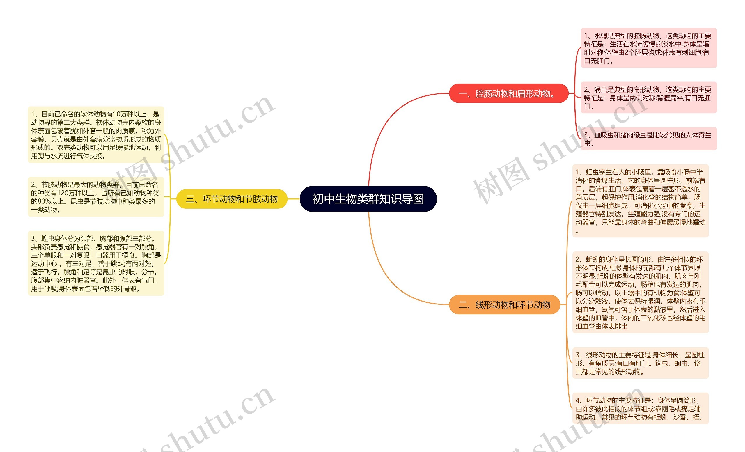 初中生物类群知识导图