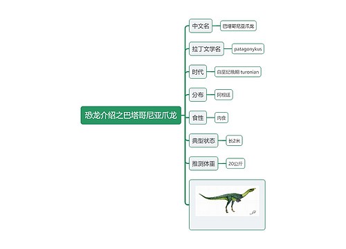 恐龙介绍之巴塔哥尼亚爪龙思维导图