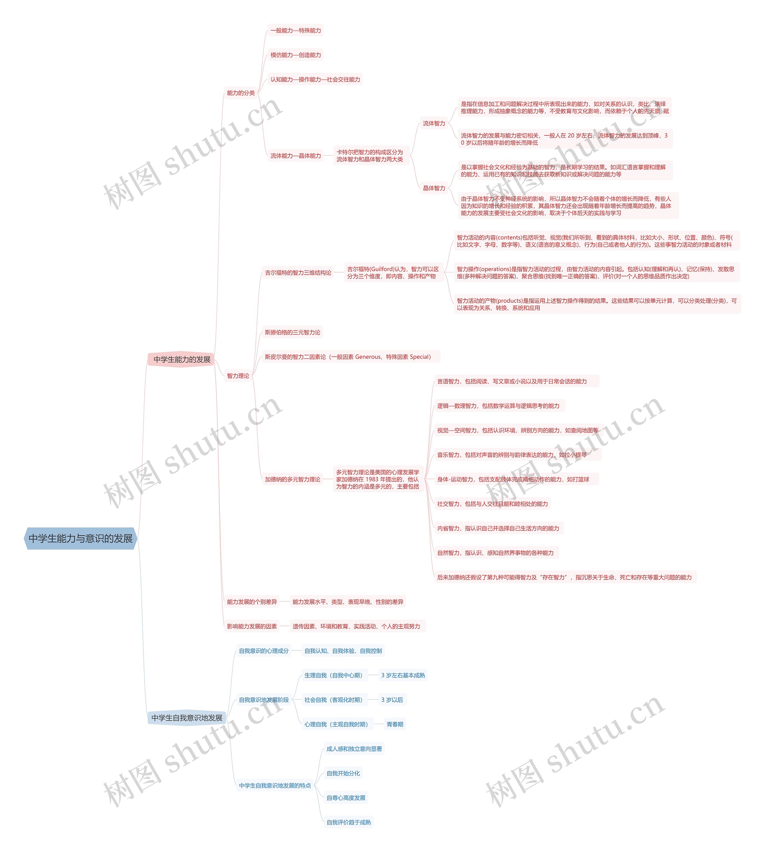 中学生能力与意识的发展思维导图
