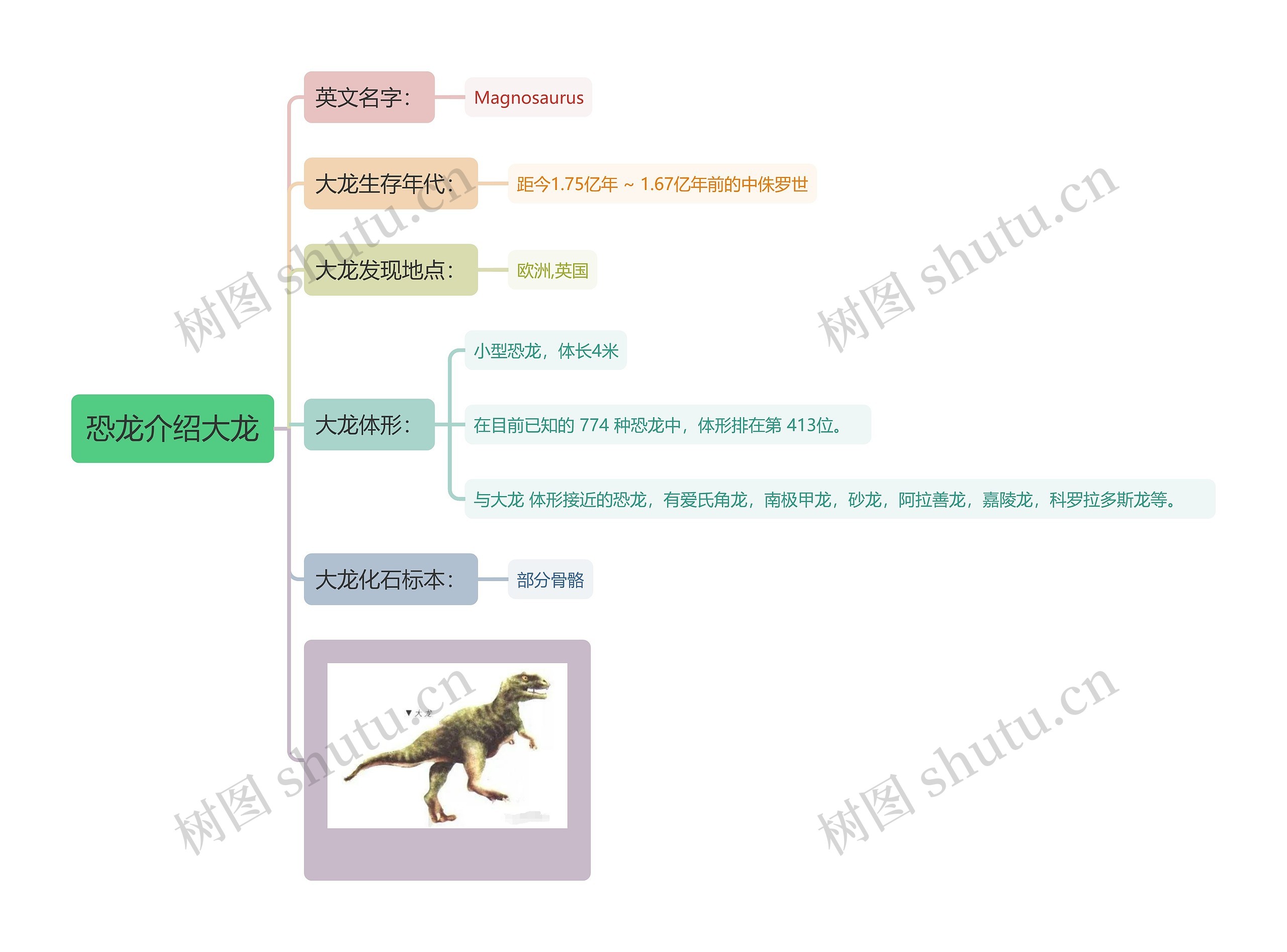 恐龙介绍大龙思维导图