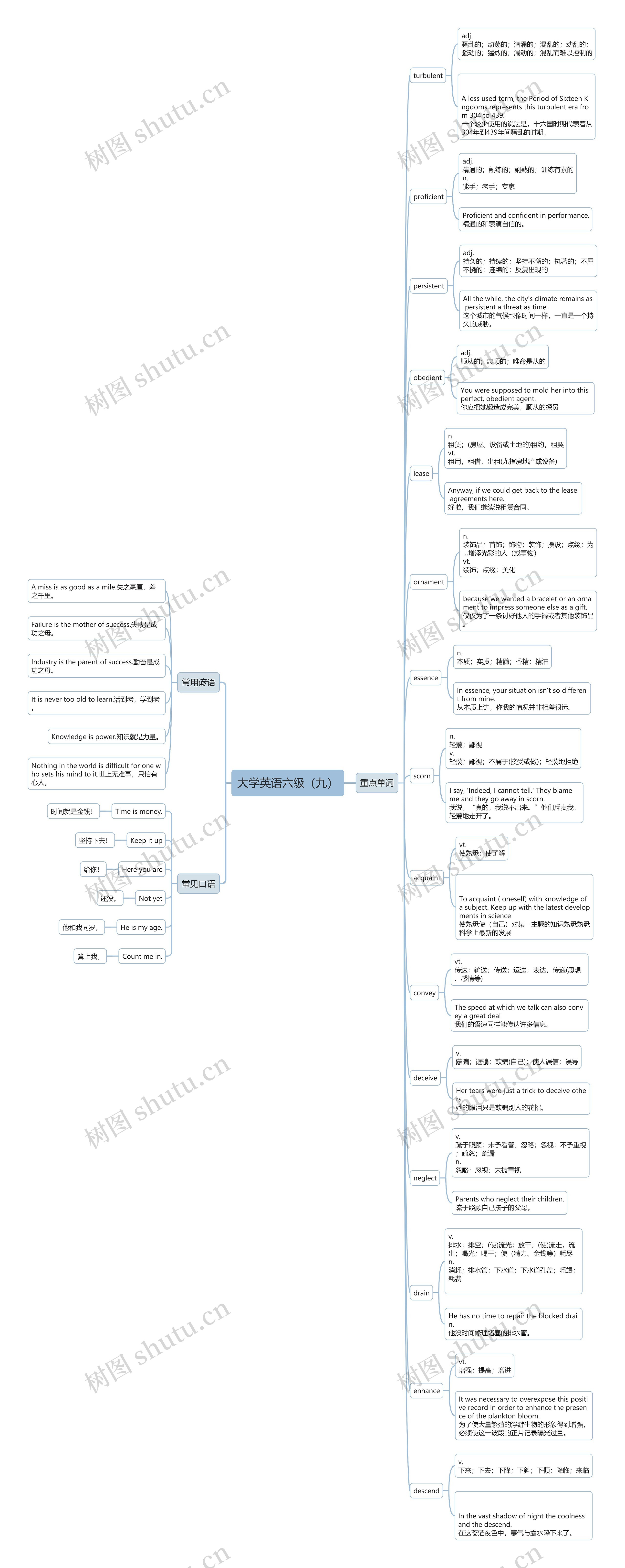 大学英语六级（九）思维导图