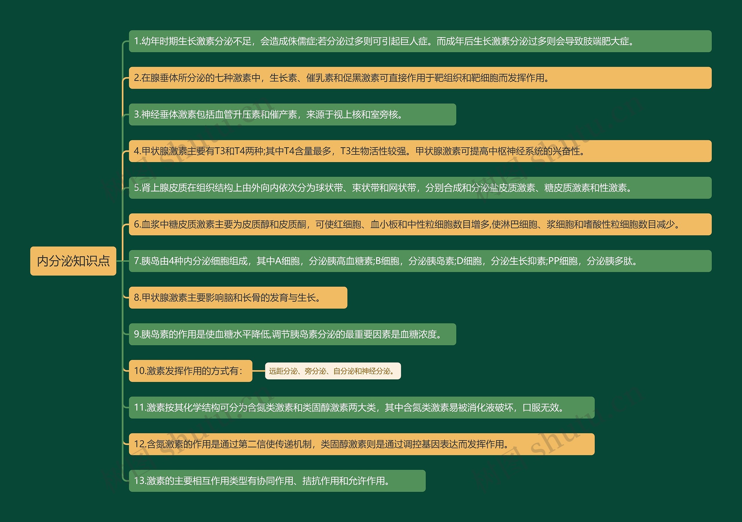 内分泌知识点思维导图