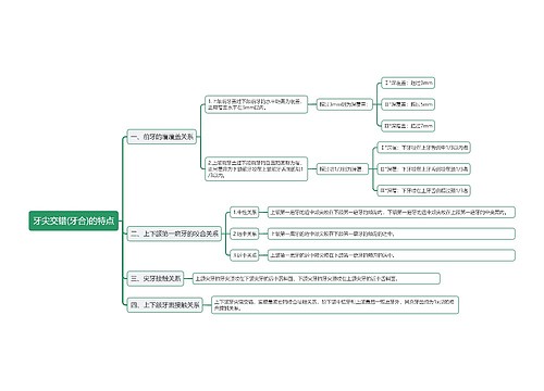 牙尖交错(牙合)的特点