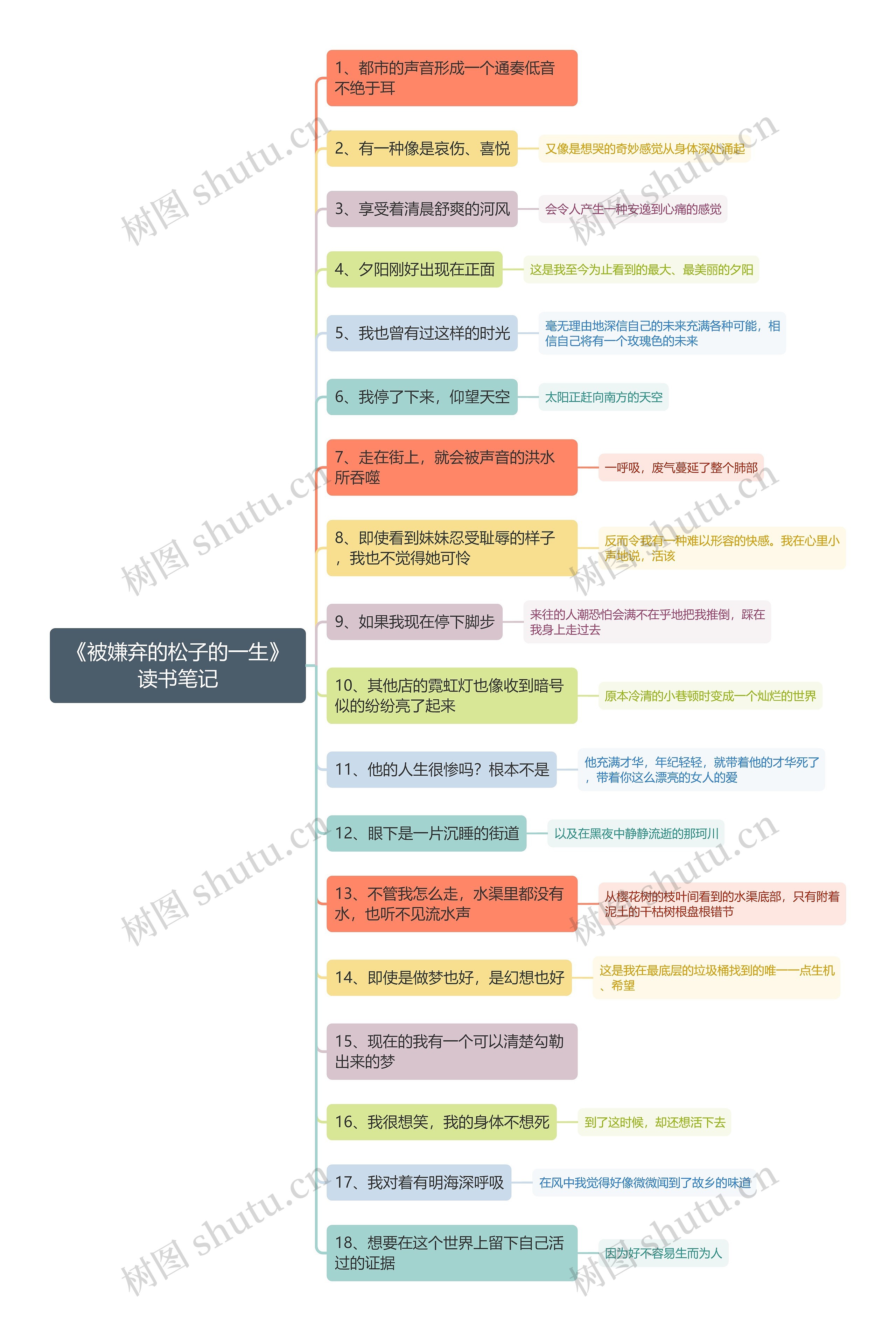 《被嫌弃的松子的一生》读书笔记思维导图