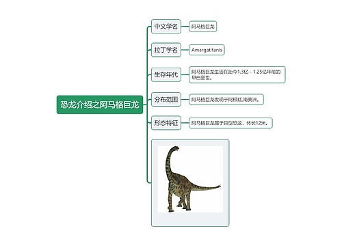 恐龙介绍之阿马格巨龙思维导图