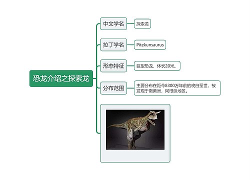 恐龙介绍之探索龙思维导图