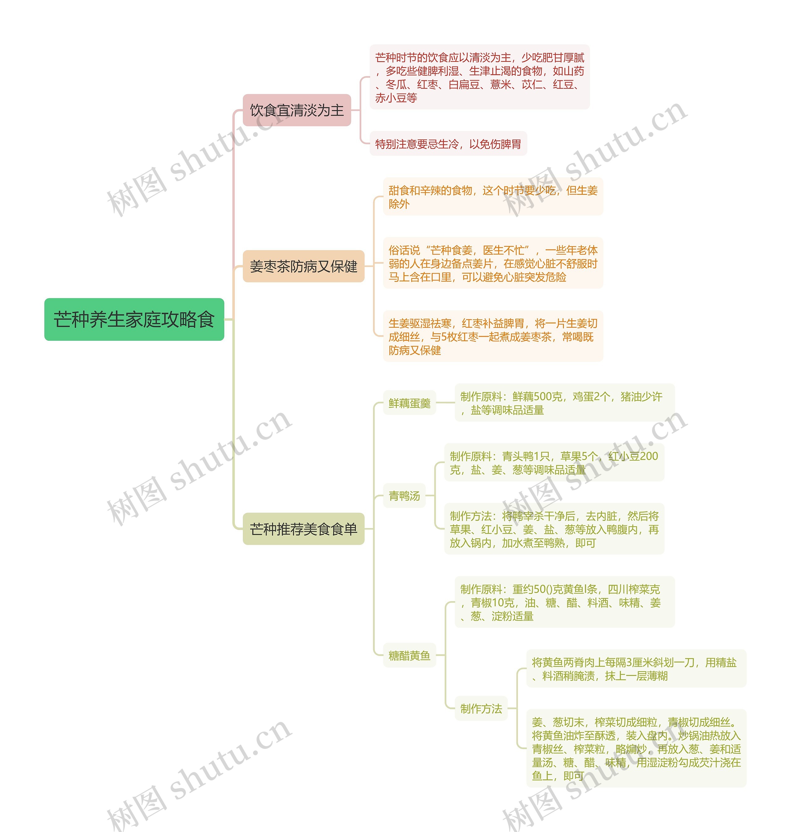 芒种养生家庭攻略食思维导图
