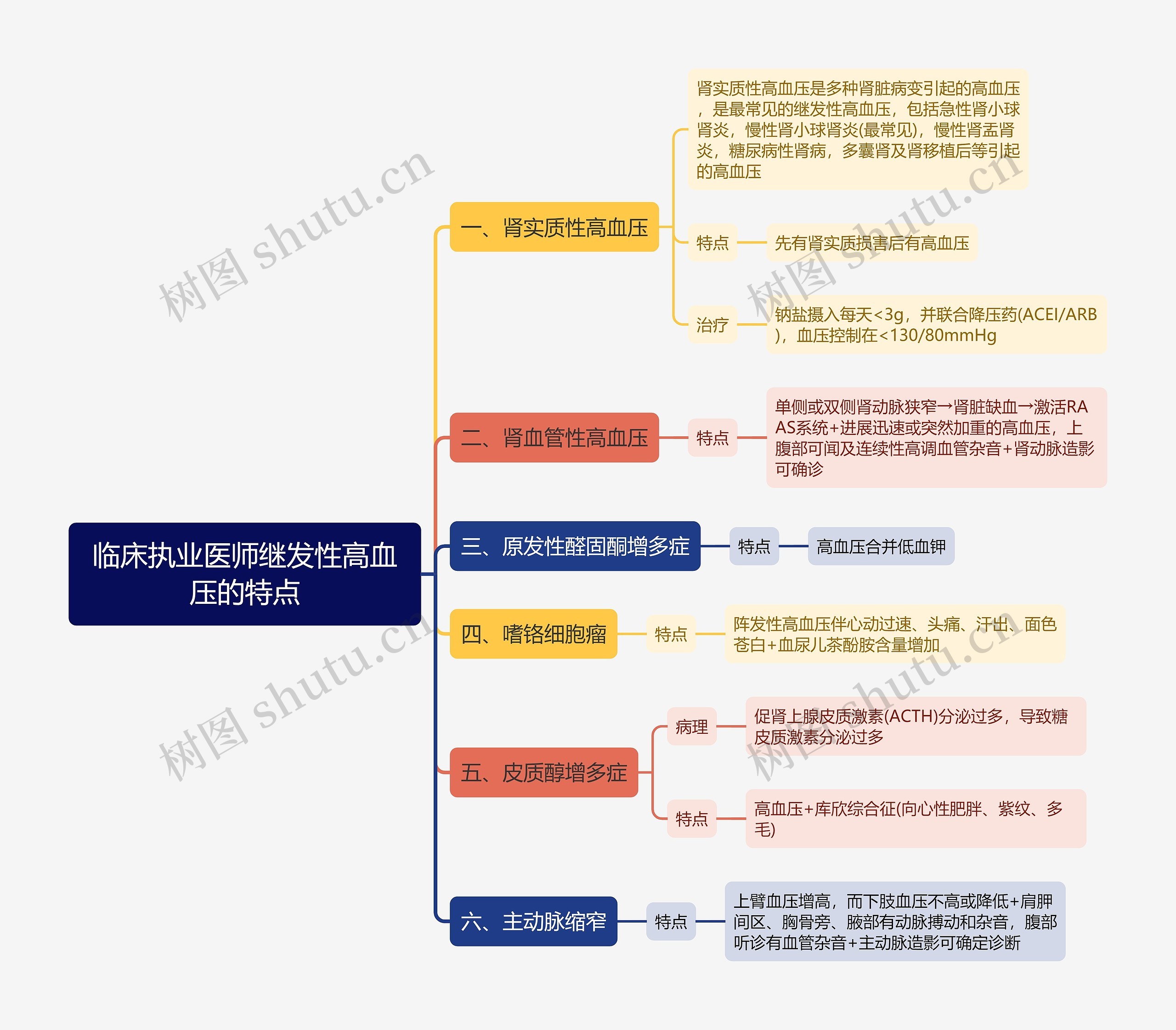 临床执业医师继发性高血压的特点思维导图