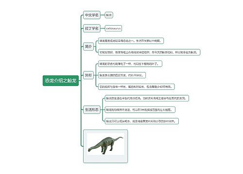 恐龙介绍之鲸龙思维导图思维导图