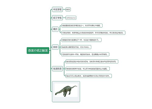 恐龙介绍之鲸龙思维导图