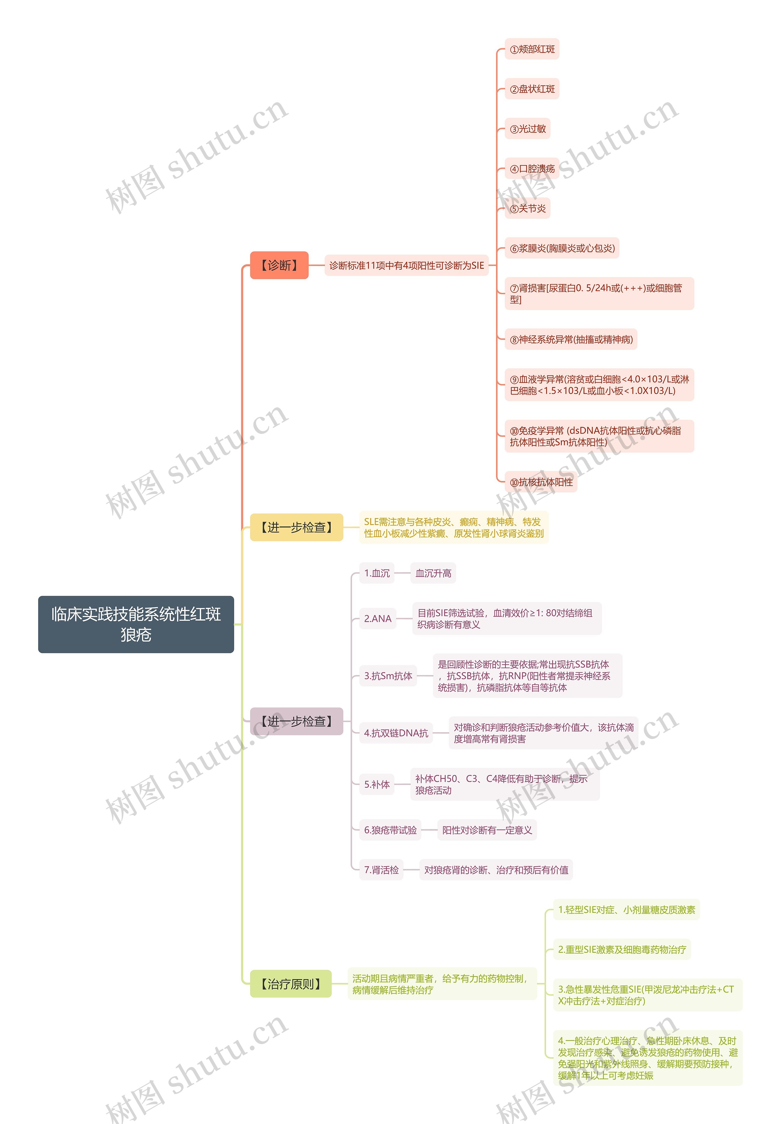 临床实践技能系统性红斑狼疮思维导图
