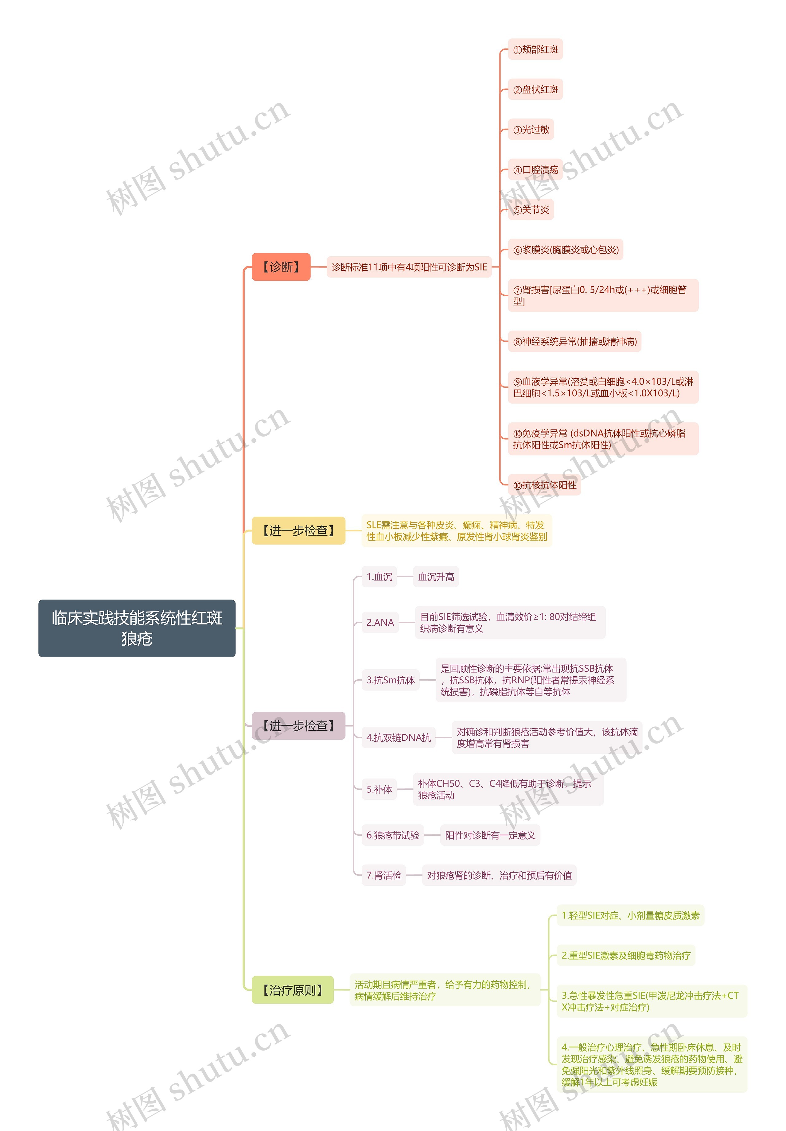 临床实践技能系统性红斑狼疮思维导图高清图 临床实践技能系统性红斑狼疮思维导图